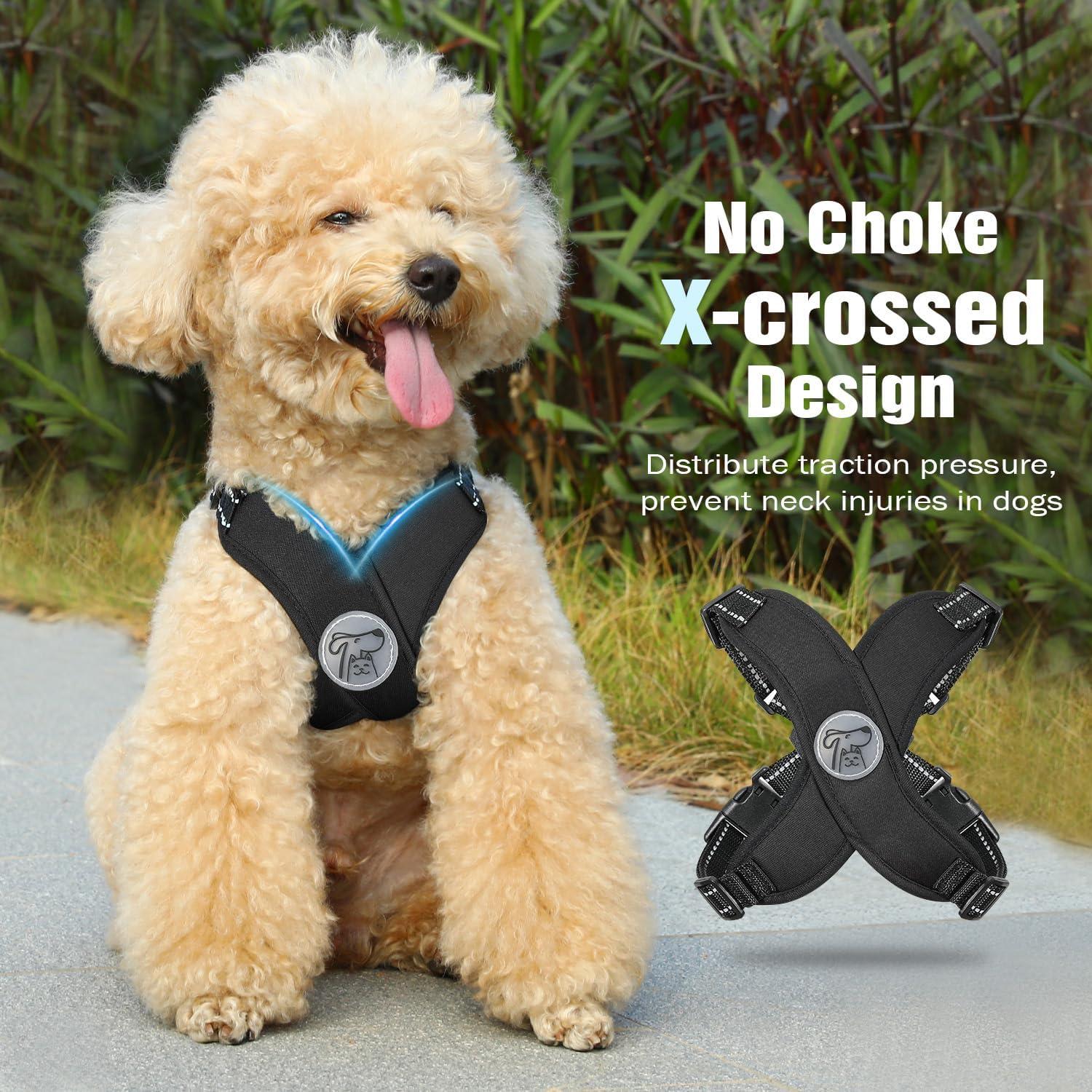 Conjunto Arnés y Correa Pawaboo para Perros Pequeños Negro