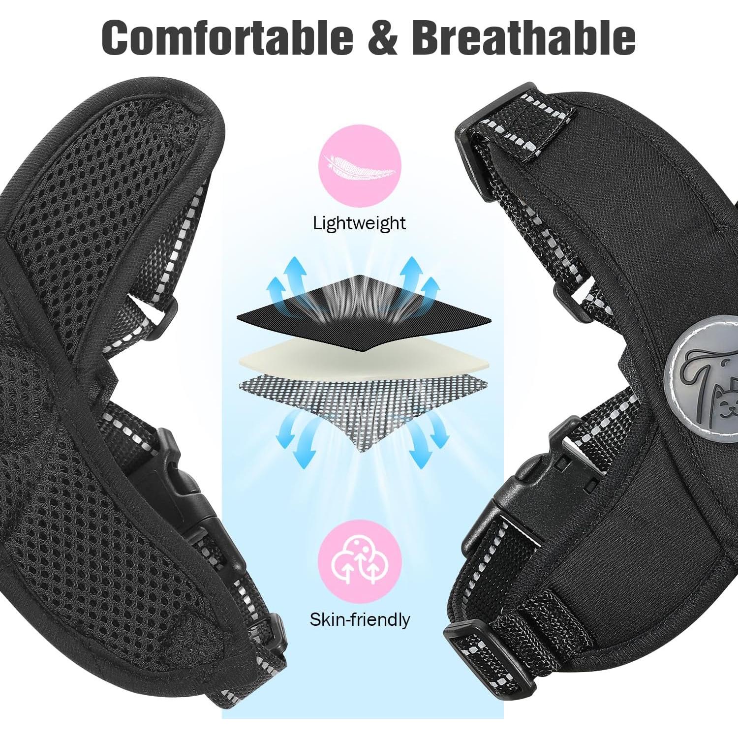 Conjunto Arnés y Correa Pawaboo para Perros Pequeños Negro