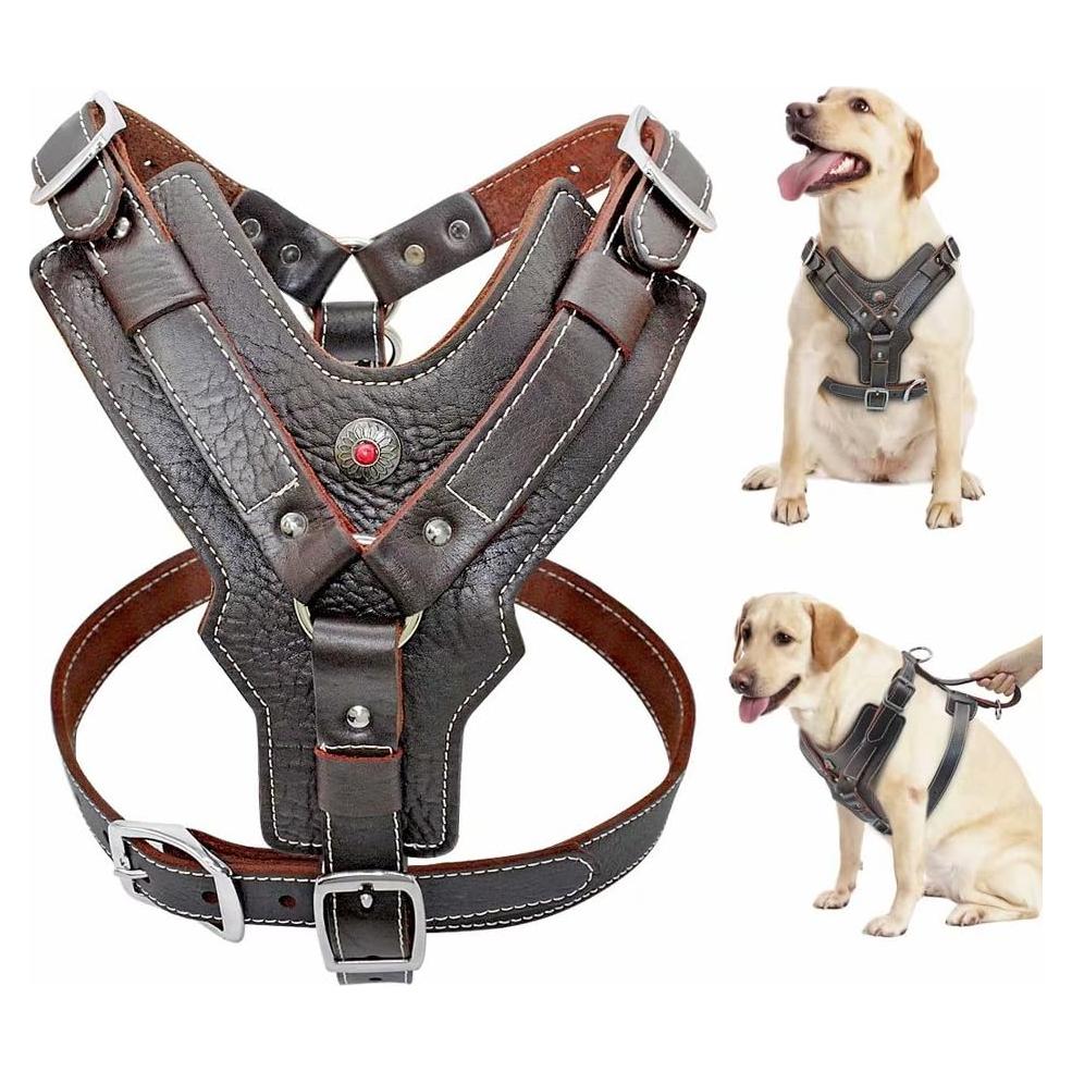 Arnés de Cuero Happierpet Ajustable para Perros Medianos