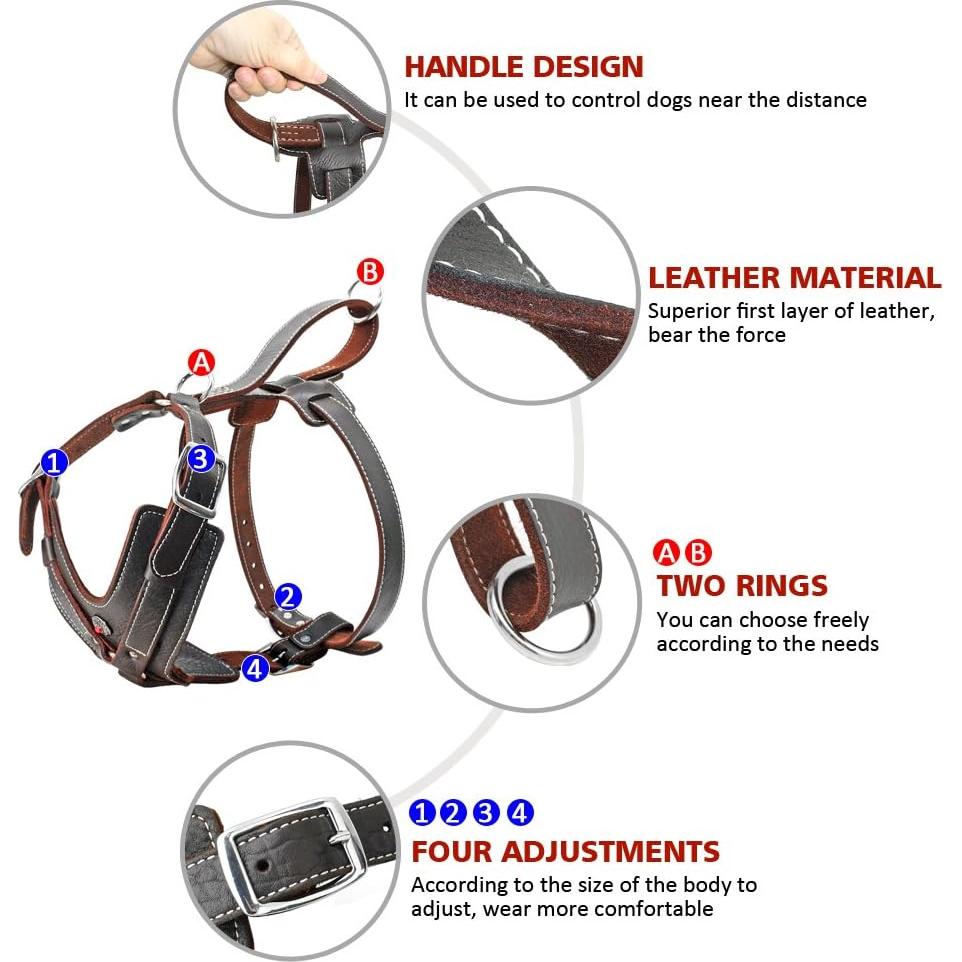 Arnés de Cuero Happierpet Ajustable para Perros Medianos