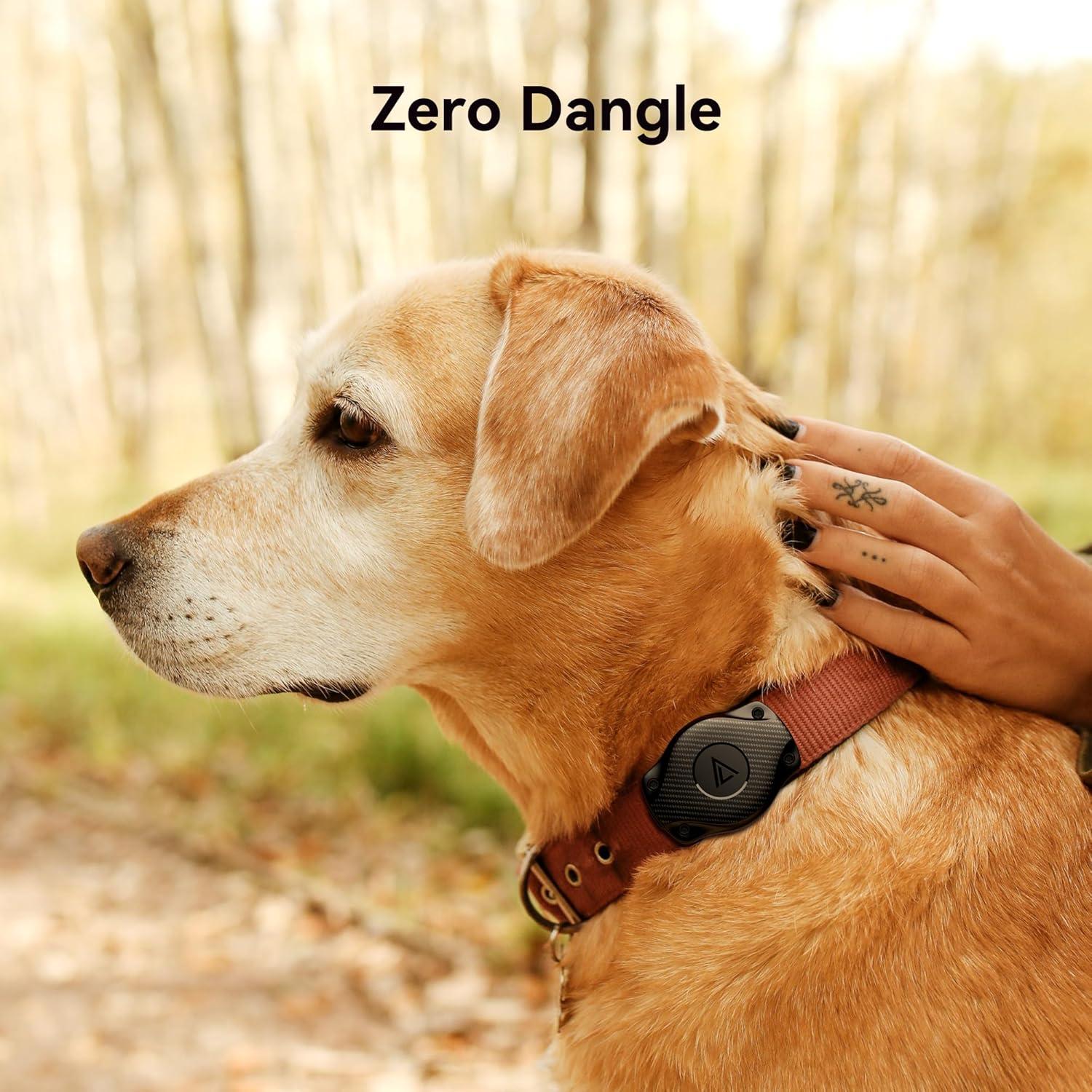 Soporte para Collar de Perro AirTag Citymore Resistente al Agua