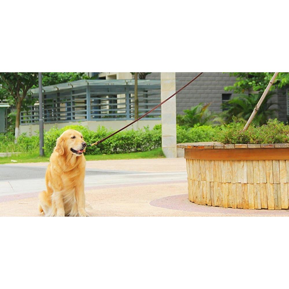 Correa de perro de cuero trenzada Beirui 1.1 m negra