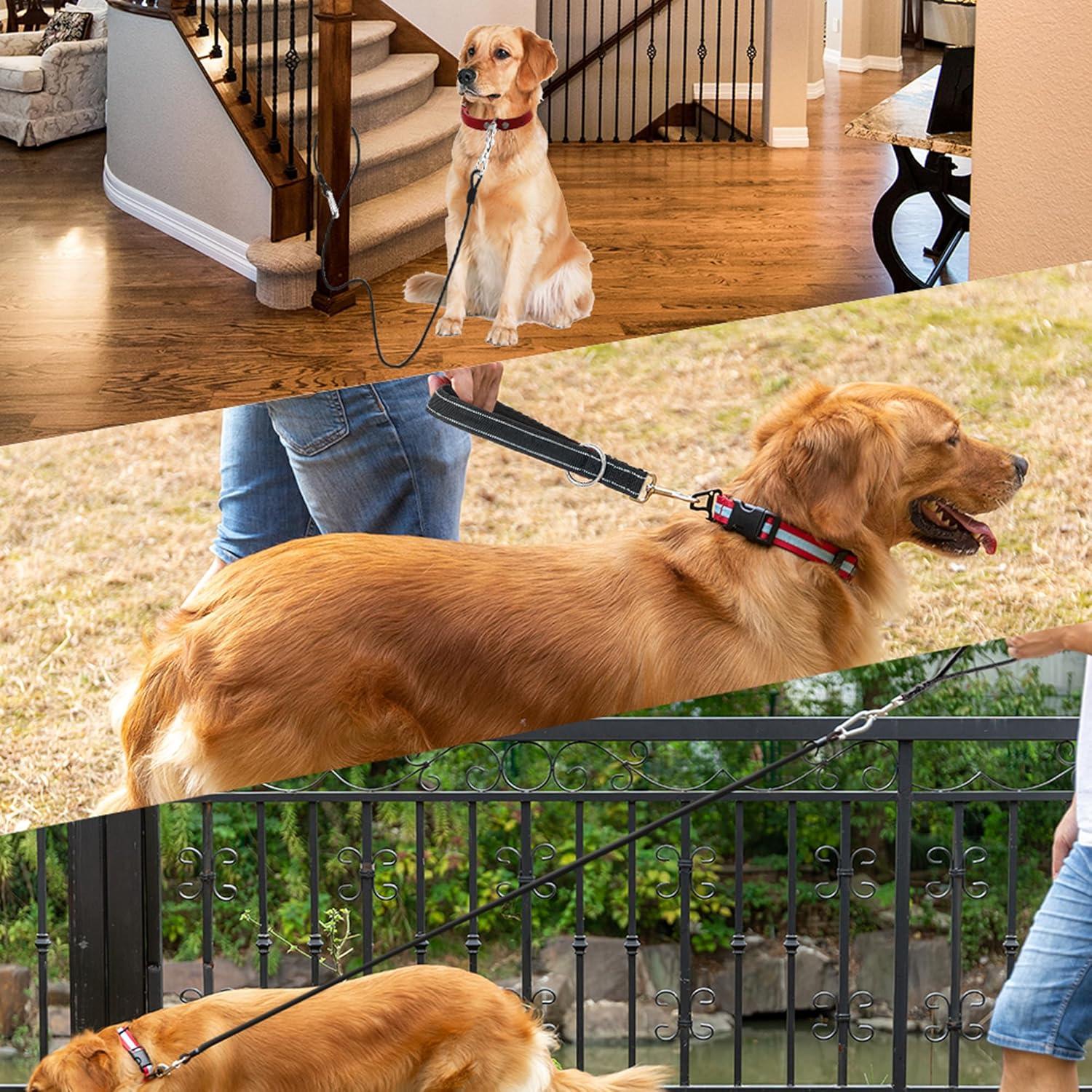 Correa para Perro PAWNISAW 1.52m Resistente con Mango Acolchado