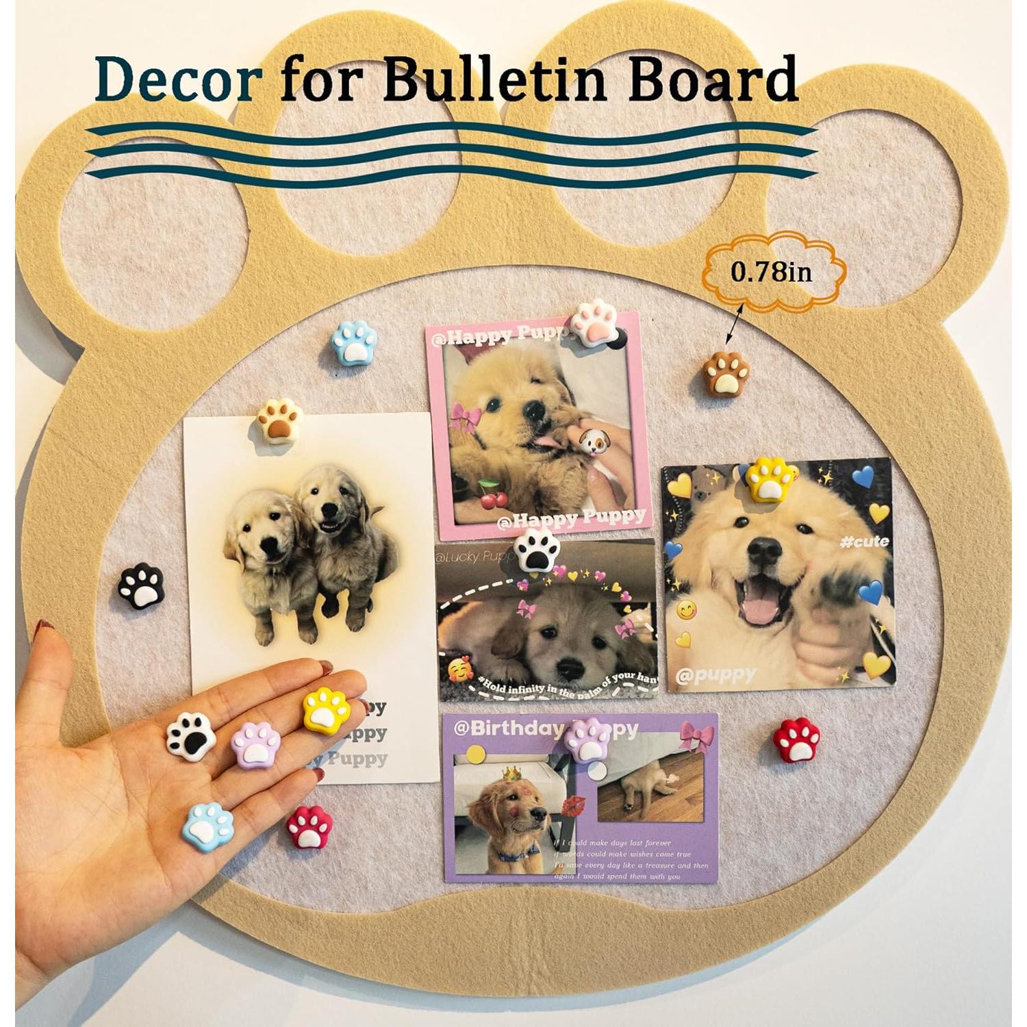 30 Chinchetas Decorativas Tandarui Pata de Gato para Oficina