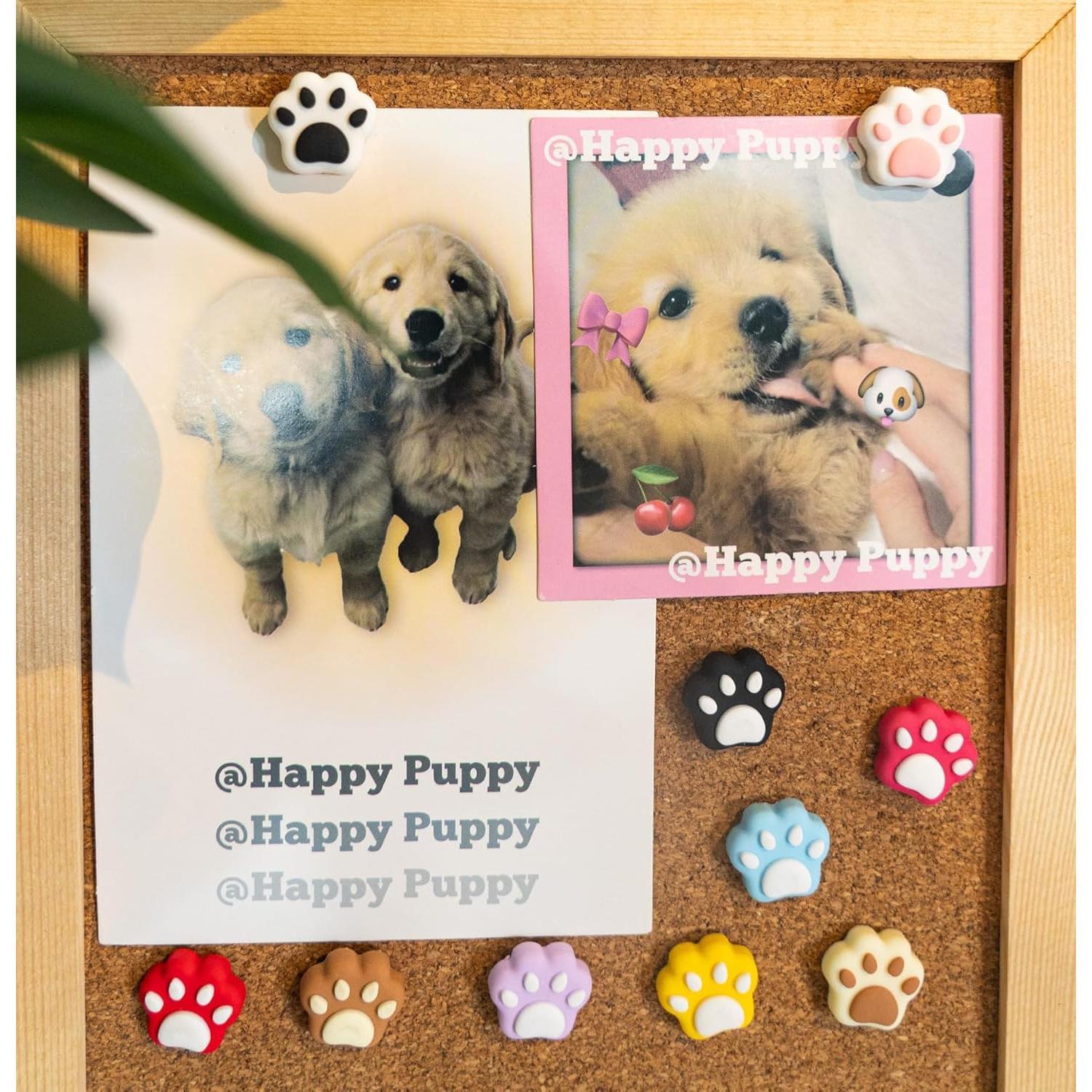 30 Chinchetas Decorativas Tandarui Pata de Gato para Oficina