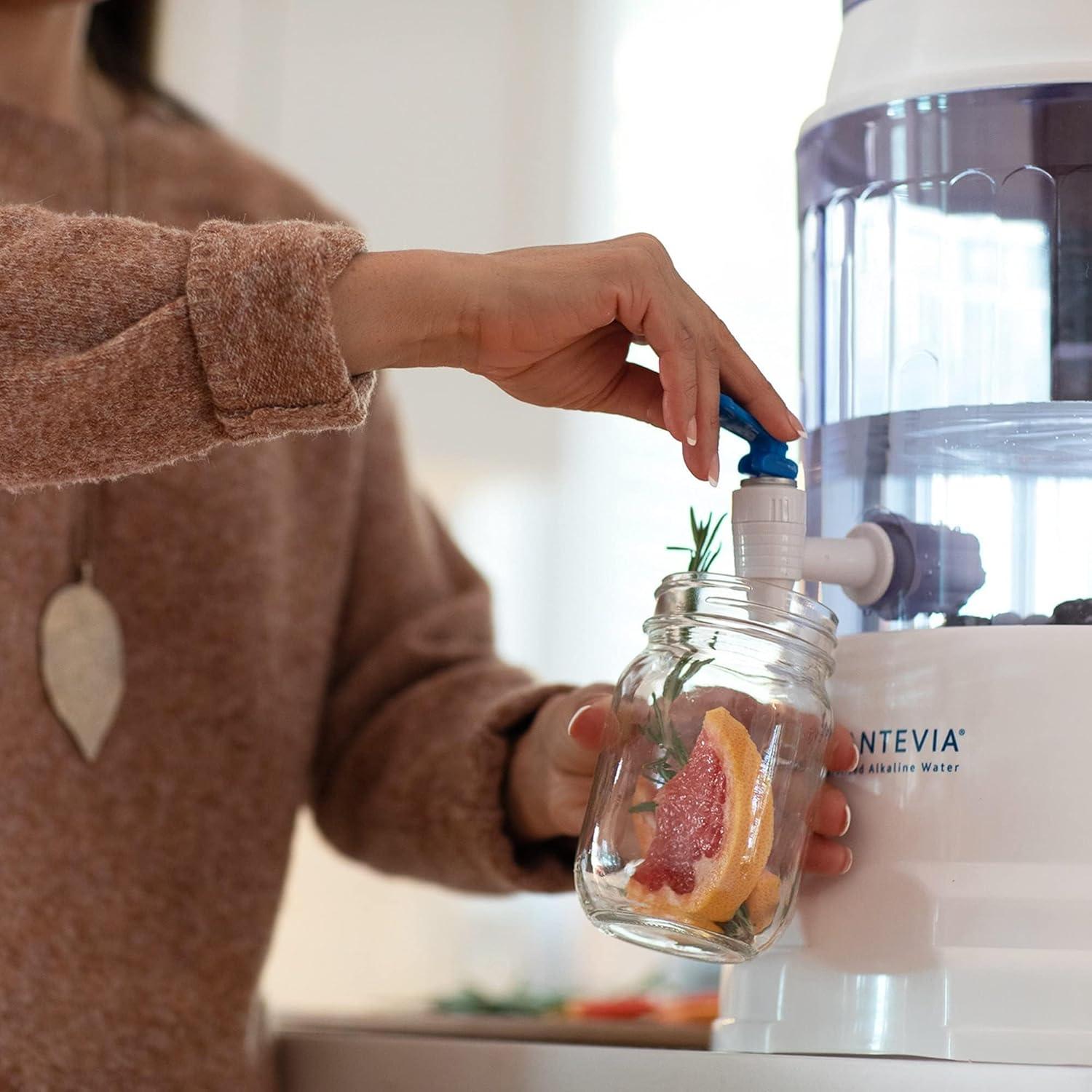 Filtro de Agua por Gravedad Santevia 10L Alcalino Mineralizado