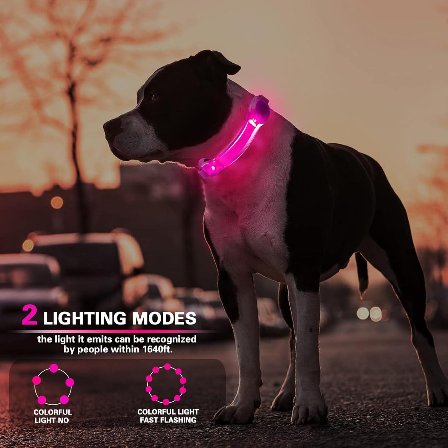 Paquete de 2 luces LED para collar de perro Fashion&cool