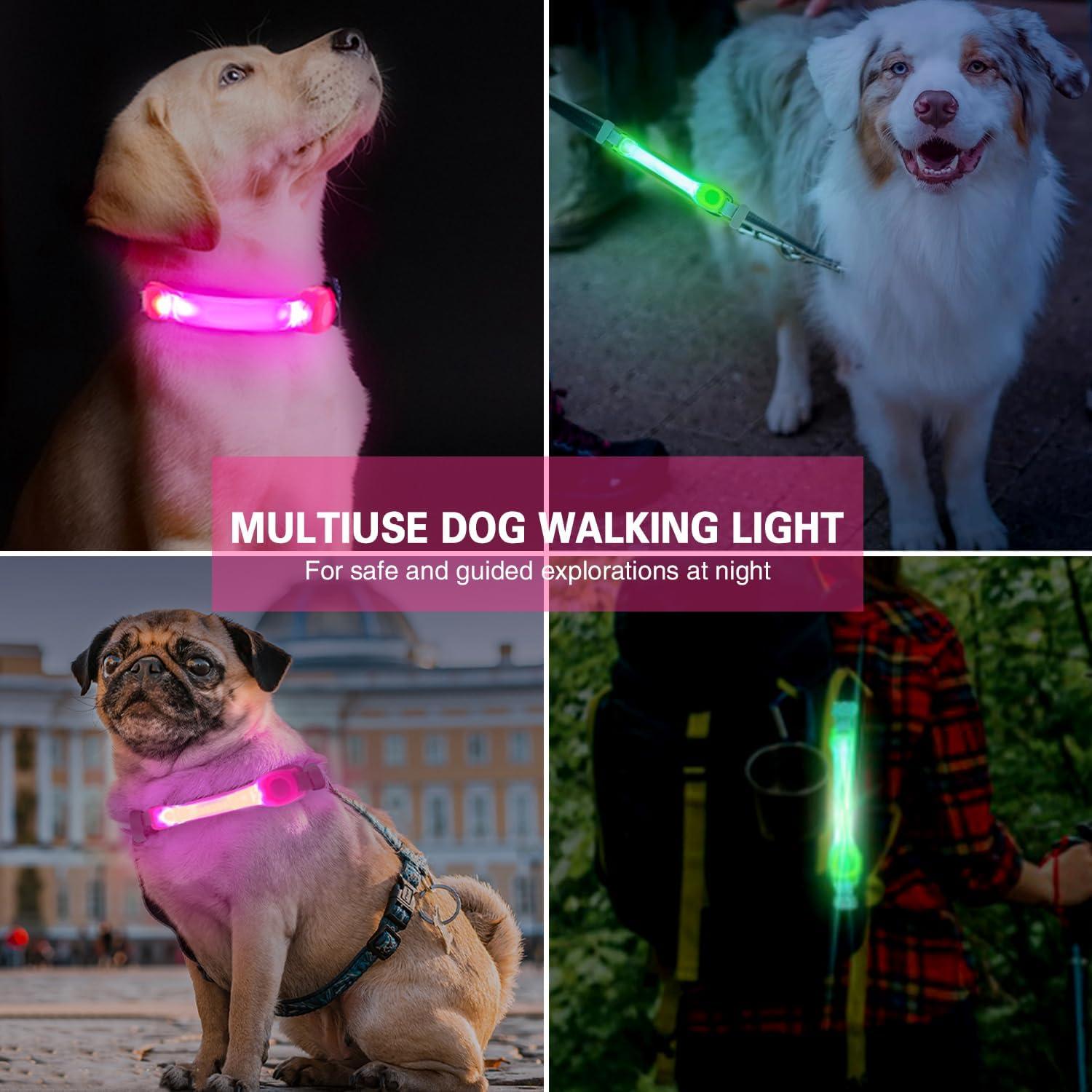Paquete de 2 luces LED para collar de perro Fashion&cool