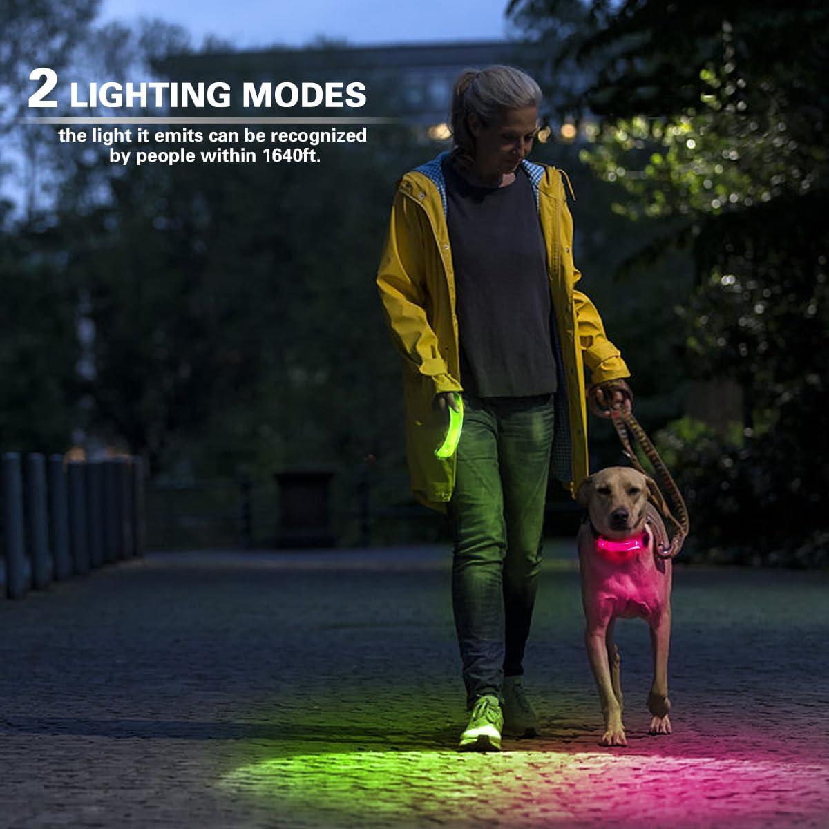 Paquete de 2 luces LED para collar de perro Fashion&cool