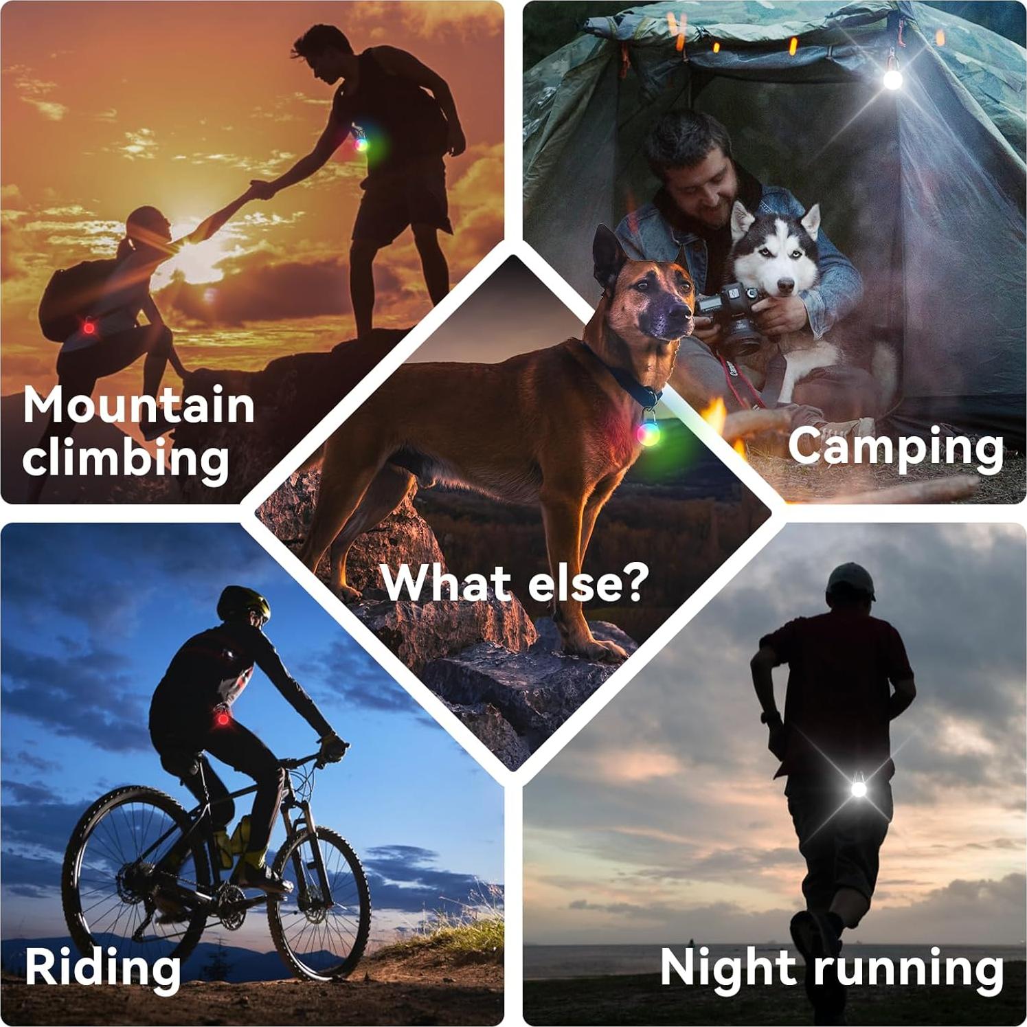 Luces LED para perros Myddomi IP68, recargables, 4 modos