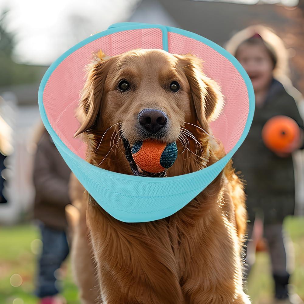Collar Cono Suave para Perros Pequeños Inspack - Ecollar Postoperatorio