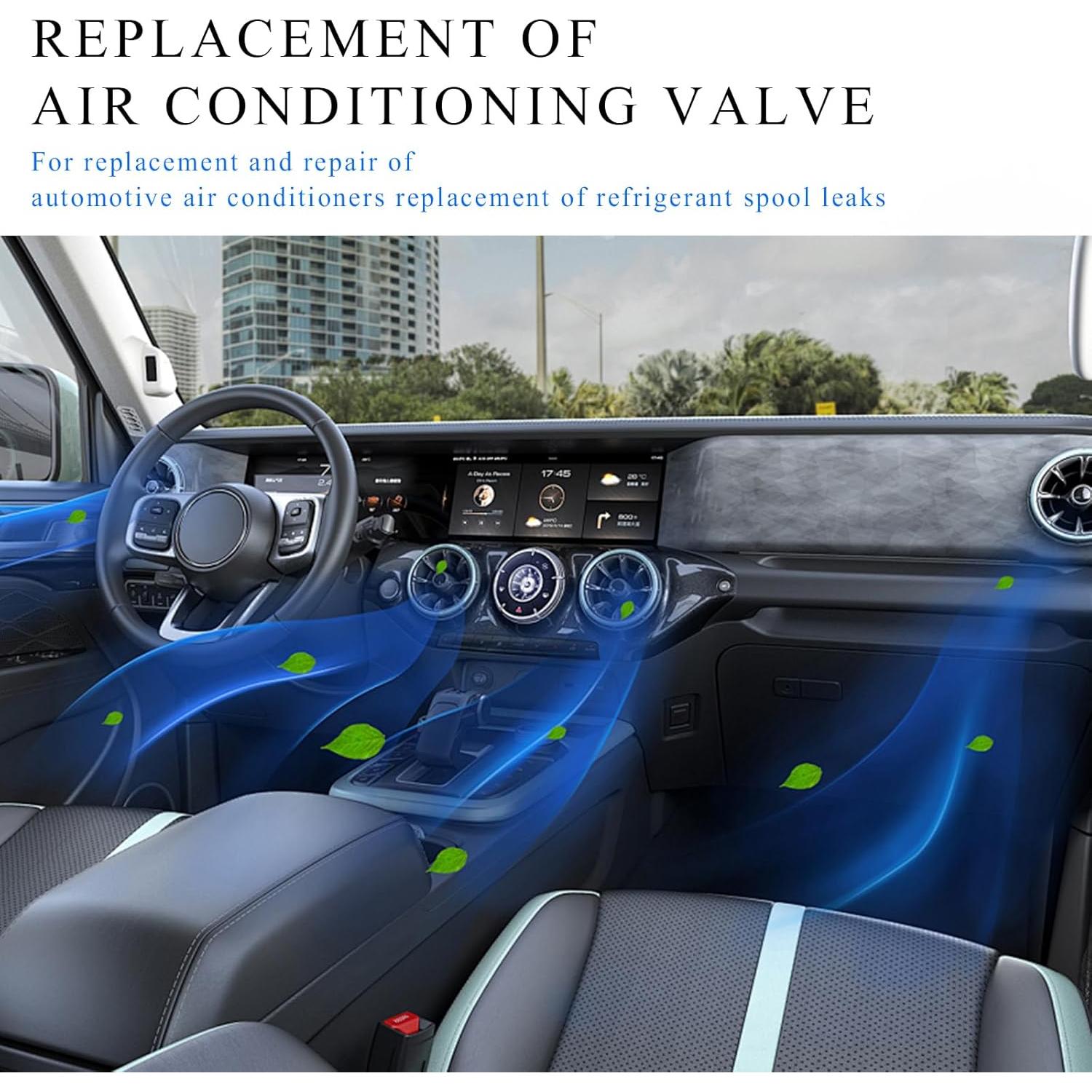 Tapas de Válvula de Reemplazo Povtii para AC R134a - 2 PCS