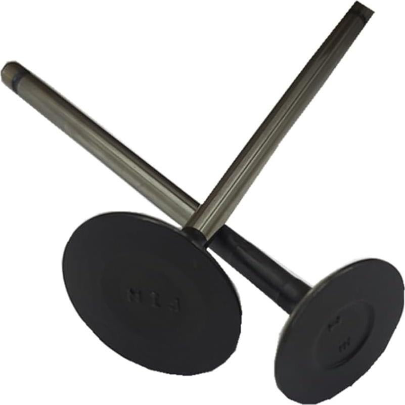 Kit de Válvulas de Admisión y Escape WFSZBP 16 Piezas