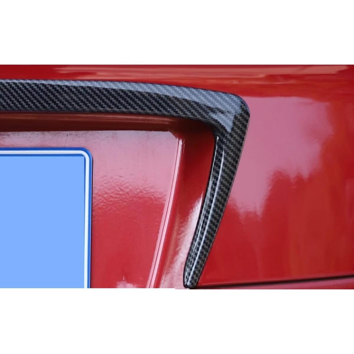 Protector de Rejilla de Puerta Trasera Toyota C-HR 2018-2023