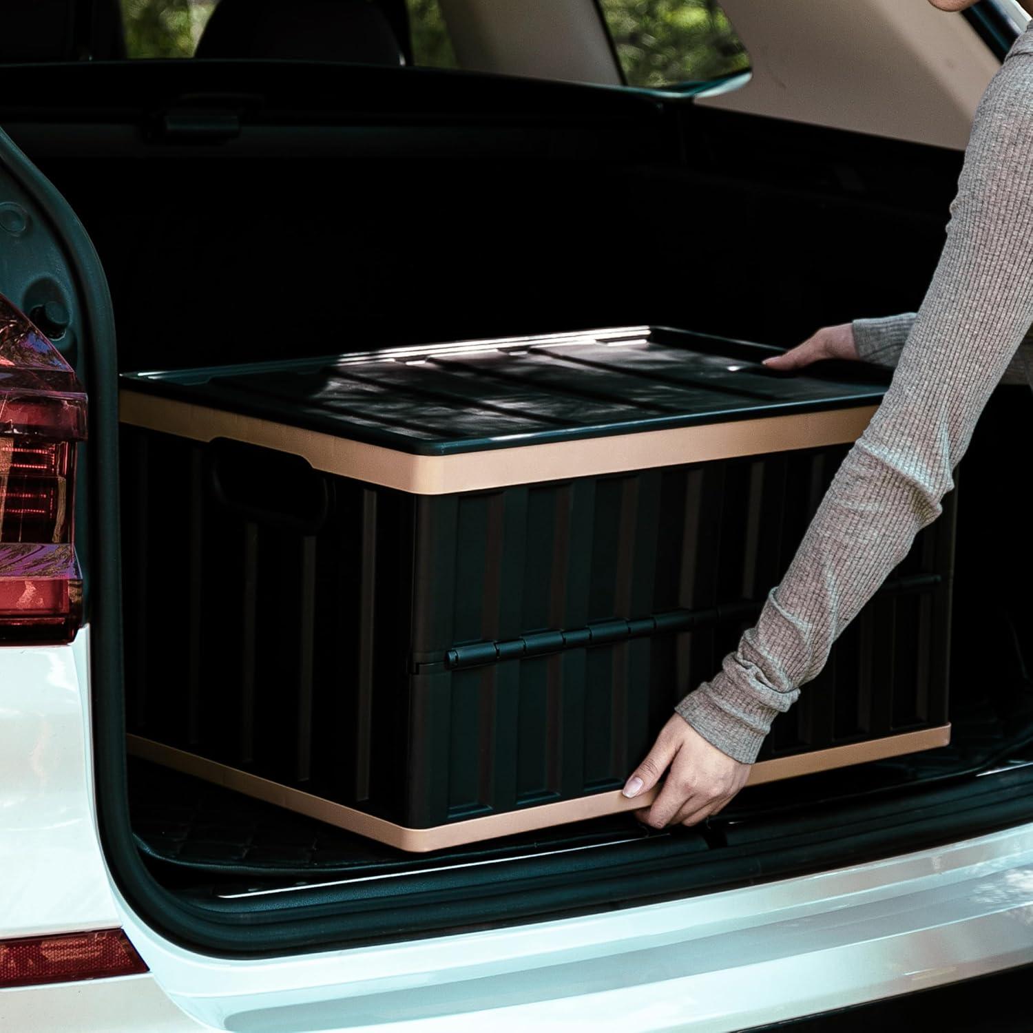 Contenedores de Almacenamiento Plegables Citylife 64L - 2 Paquetes