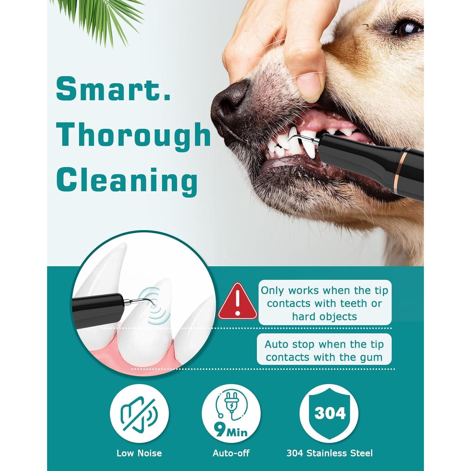 Kit de Limpieza Dental Ultrasónica para Perros Petbank 12 en 1