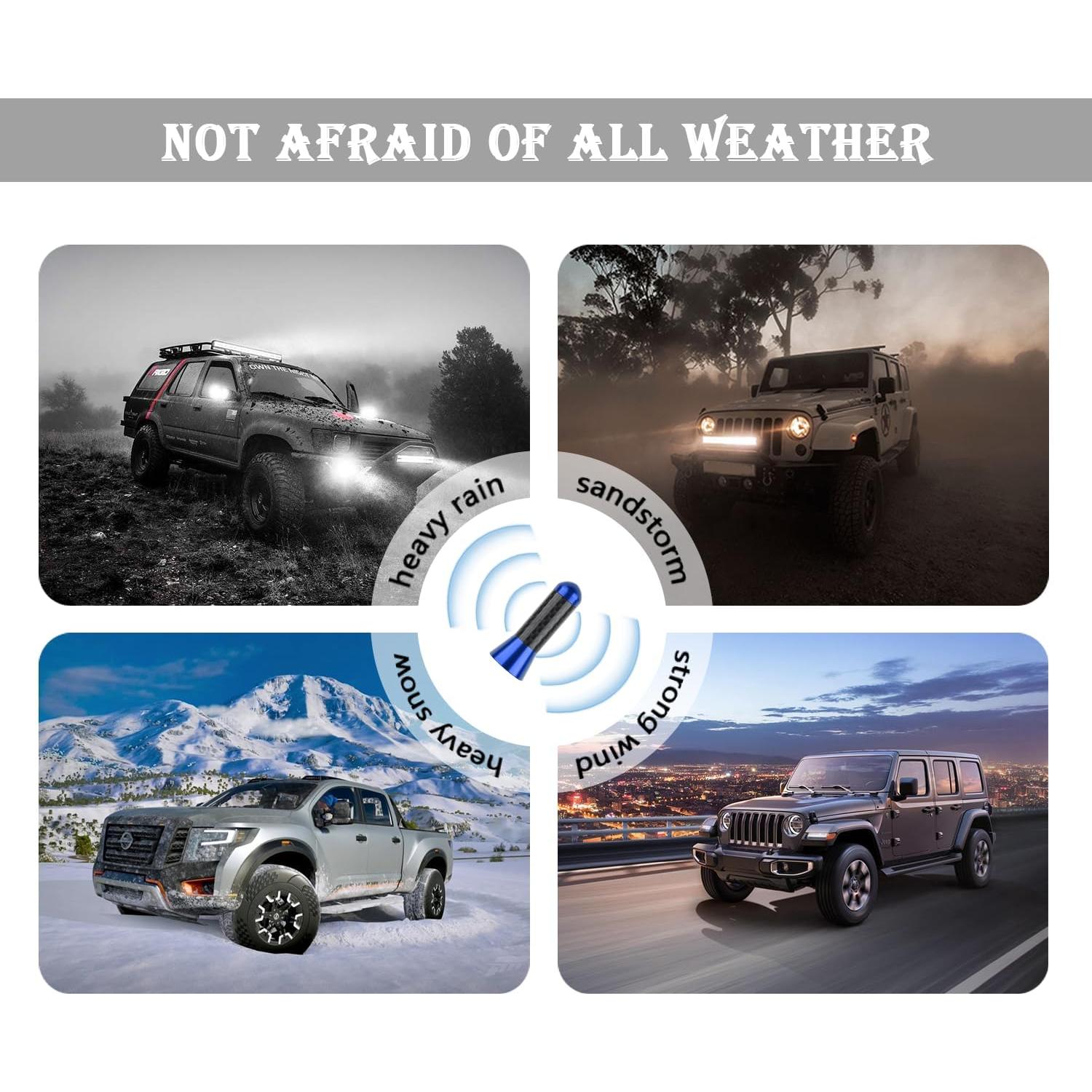 Antena de Coche YGDMD Fibra de Carbono Azul 9.30x3.61cm