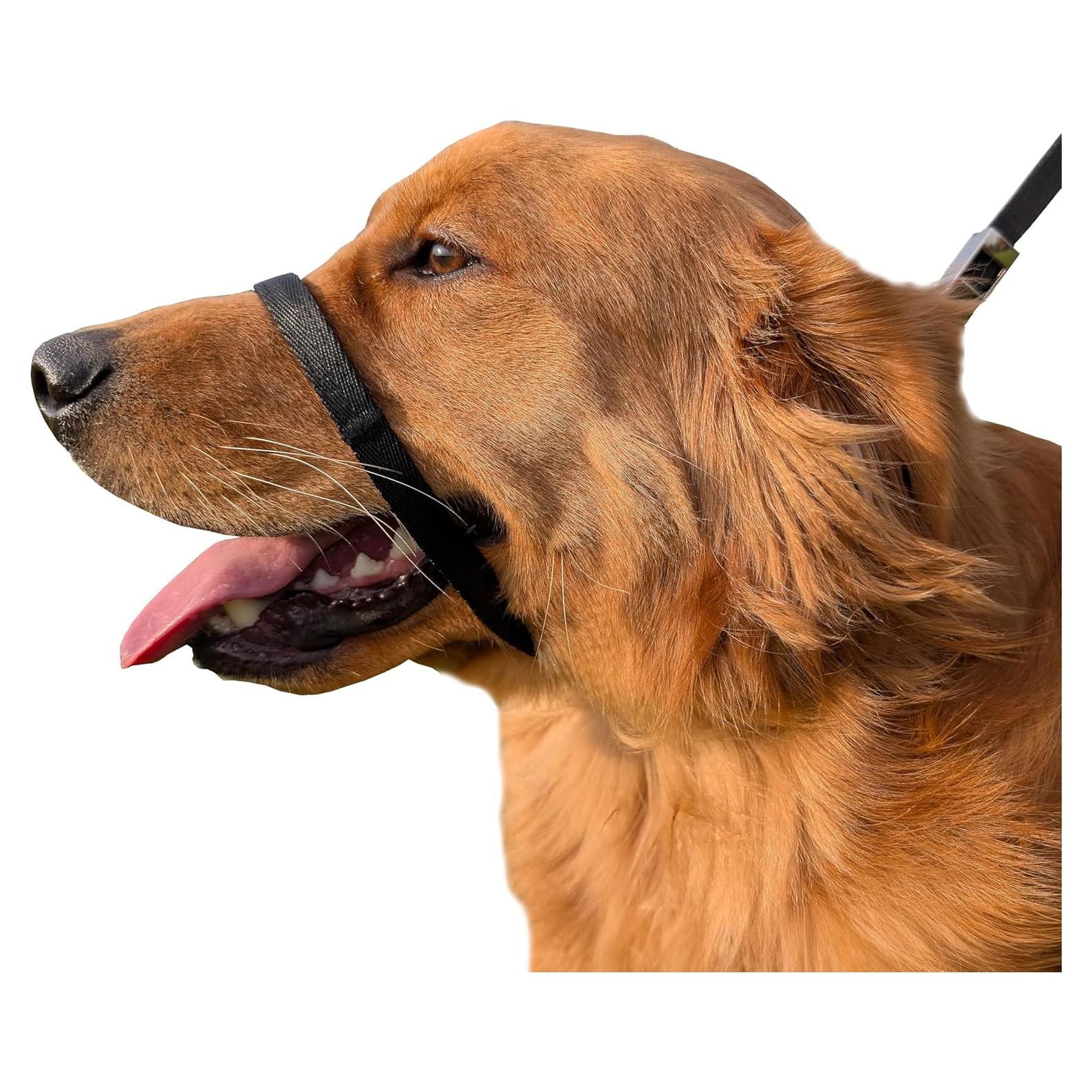 Collar de Cabeza No-Tira PetsProMax para Perros Pequeños - Ajustable, Negro