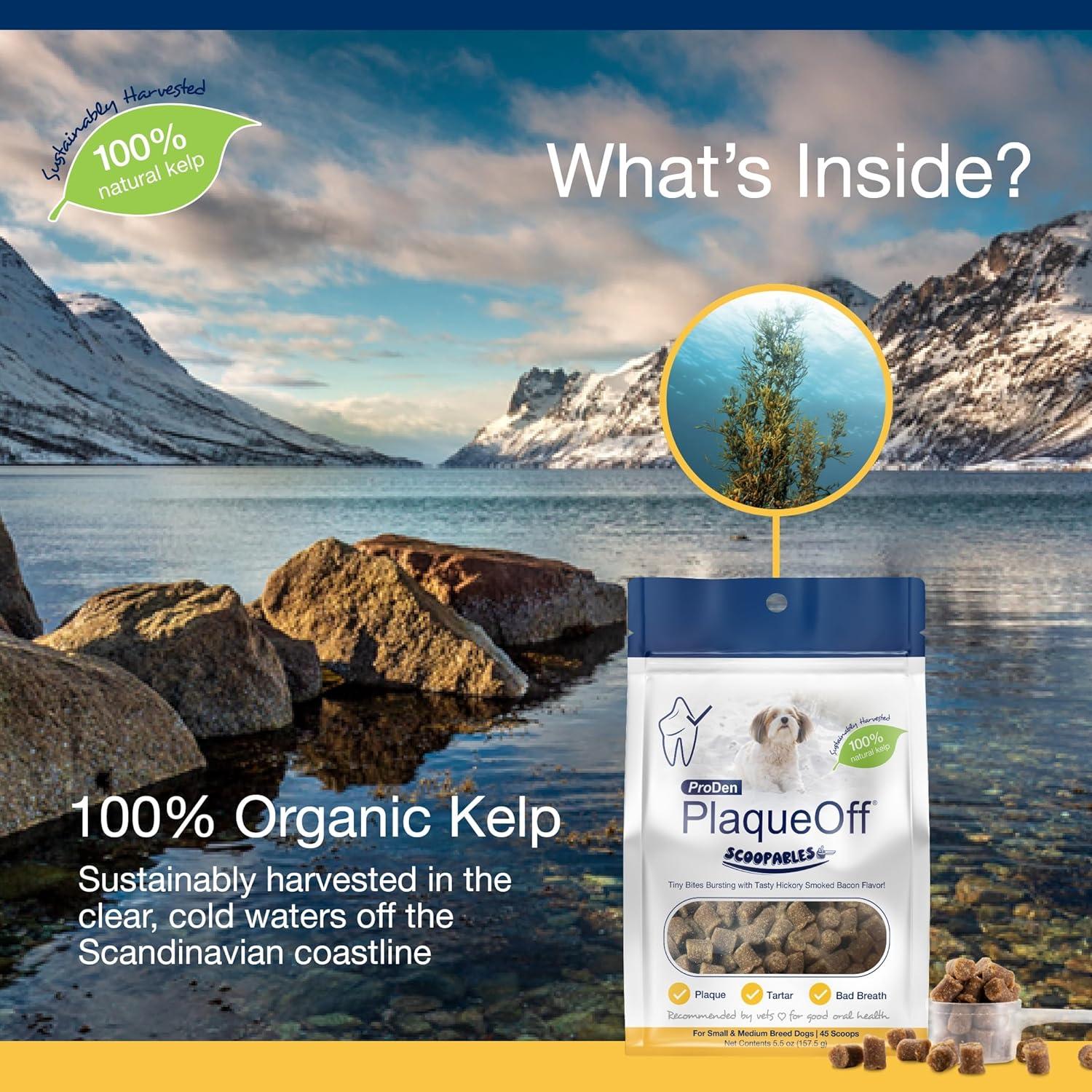 ProDen PlaqueOff Chews Suaves 45g - Salud Dental Perros y Gatos