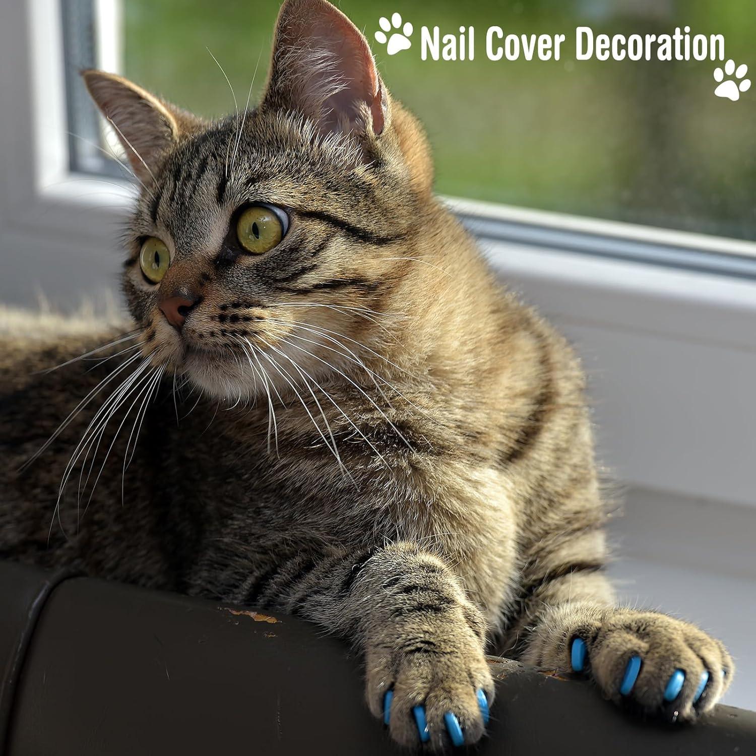 Set de Aseo para Gatos 10 Piezas Kritkin - Bolsa de Baño y Herramientas