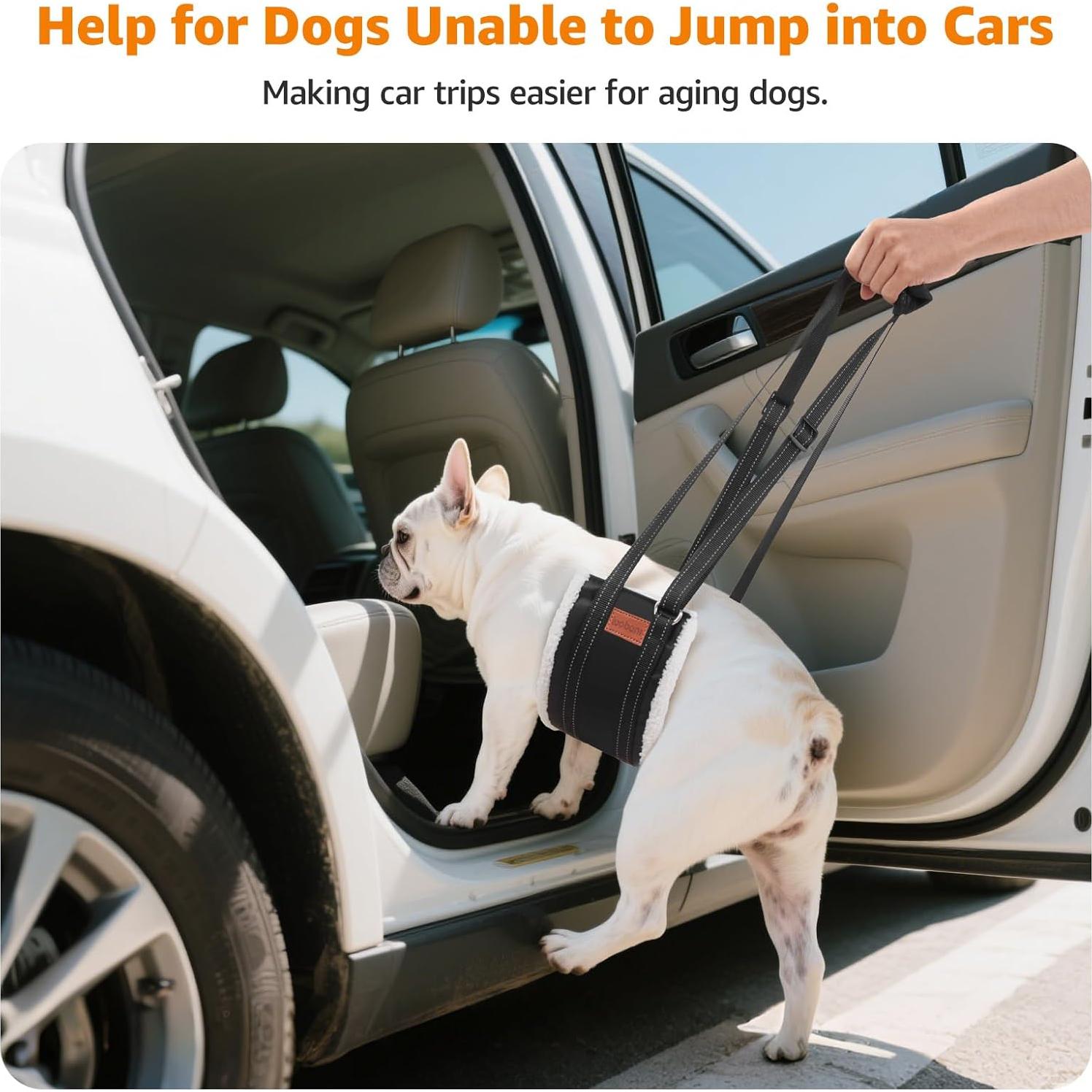 Sling Portátil para Perros Loobani - Soporte de Cadera Pequeño