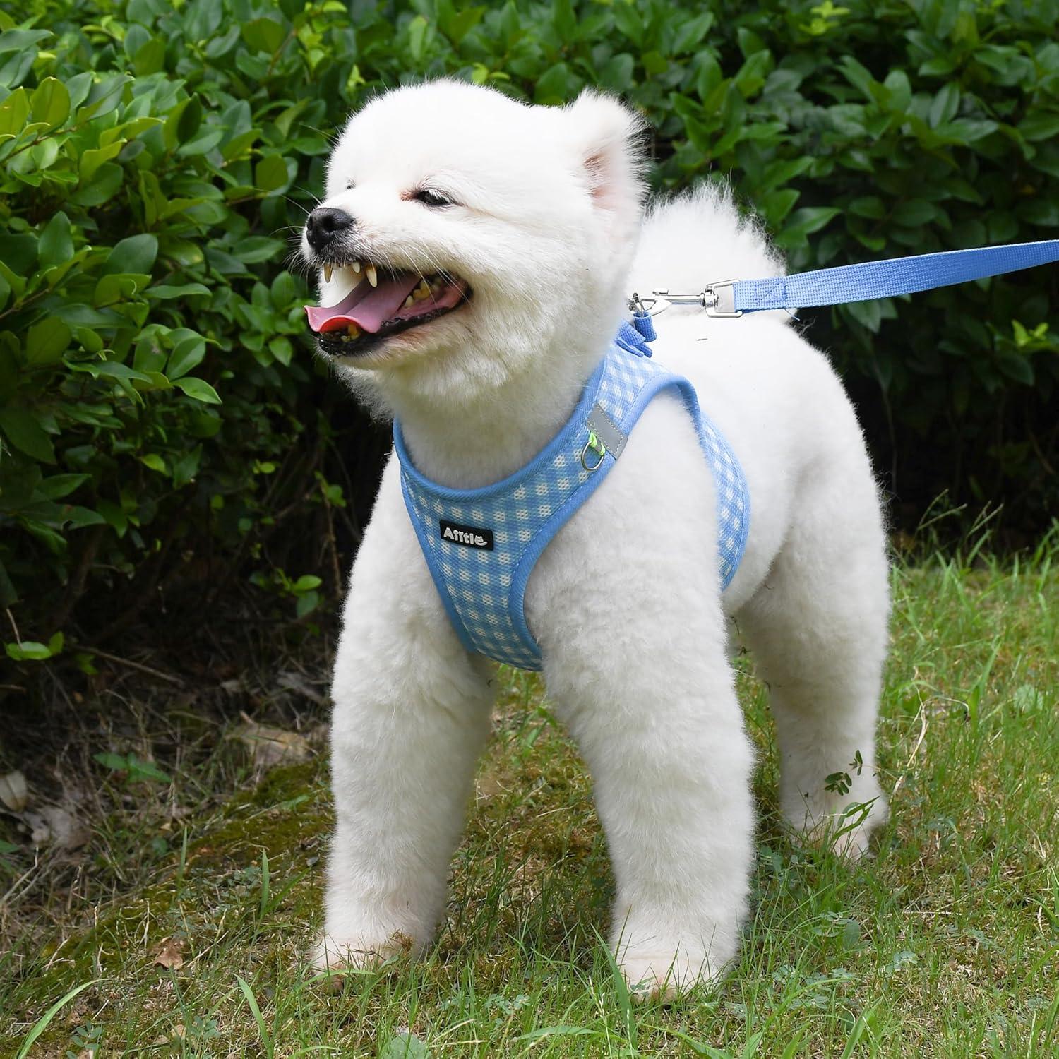 Arnés y Correa para Perros AIITLE Azul XXS Sin Tirones