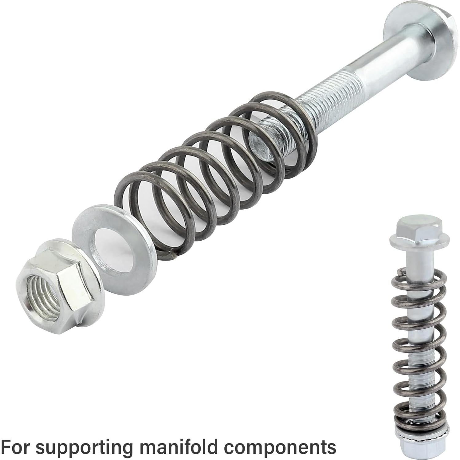 Kit de Tornillos y Resortes de Escape Carleef M10x1.25