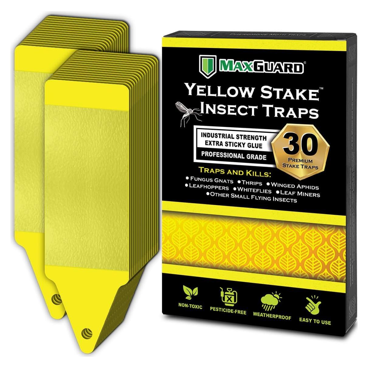 Trampas Adhesivas Amarillas Maxguard para Insectos - 30 Piezas