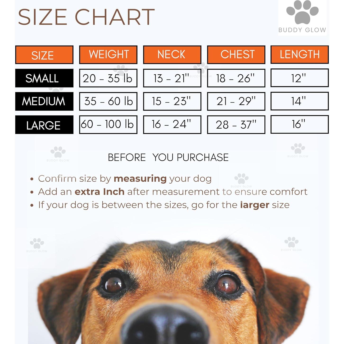 Chaleco Reflectante BUDDY GLOW para Perros Pequeños - Alta Visibilidad