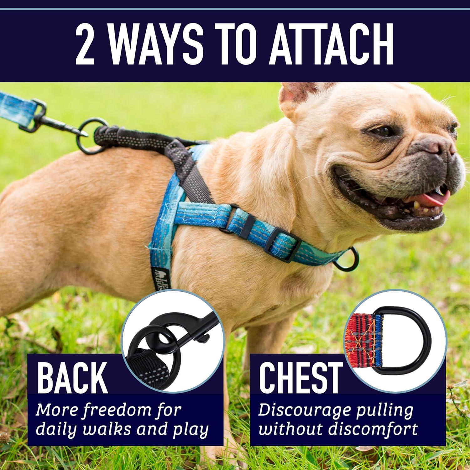 Arnés para Perros Leash Boss No Pull Pequeño Azul Olas