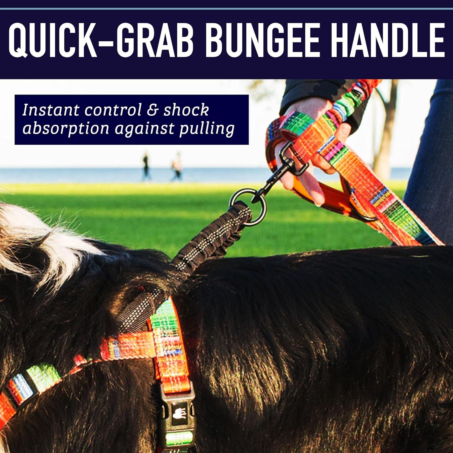 Arnés para Perros Leash Boss No Pull Pequeño Azul Olas