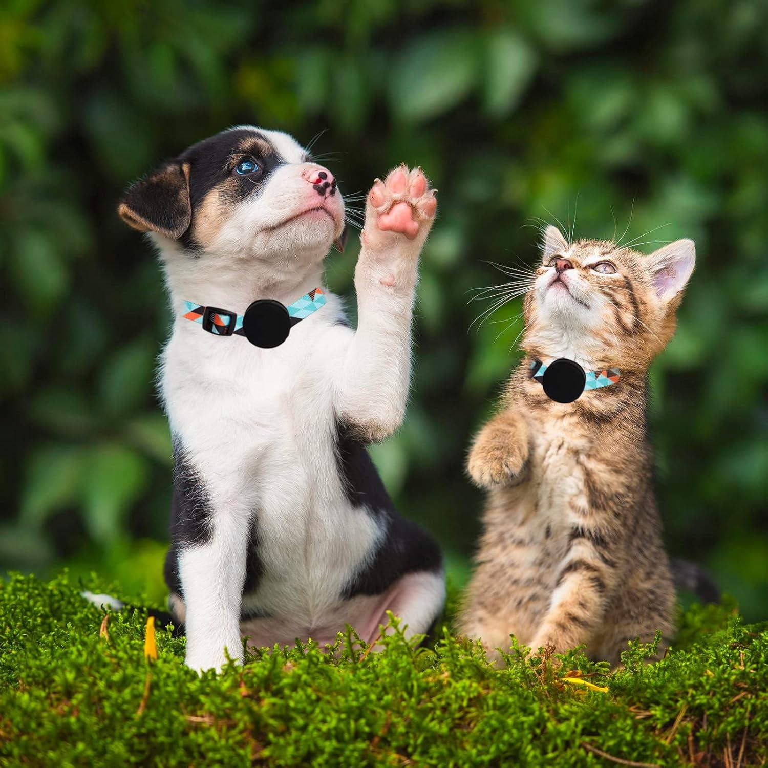 Soporte para Collar de Perro con Funda para Airtag - S 24.9-39.9 cm