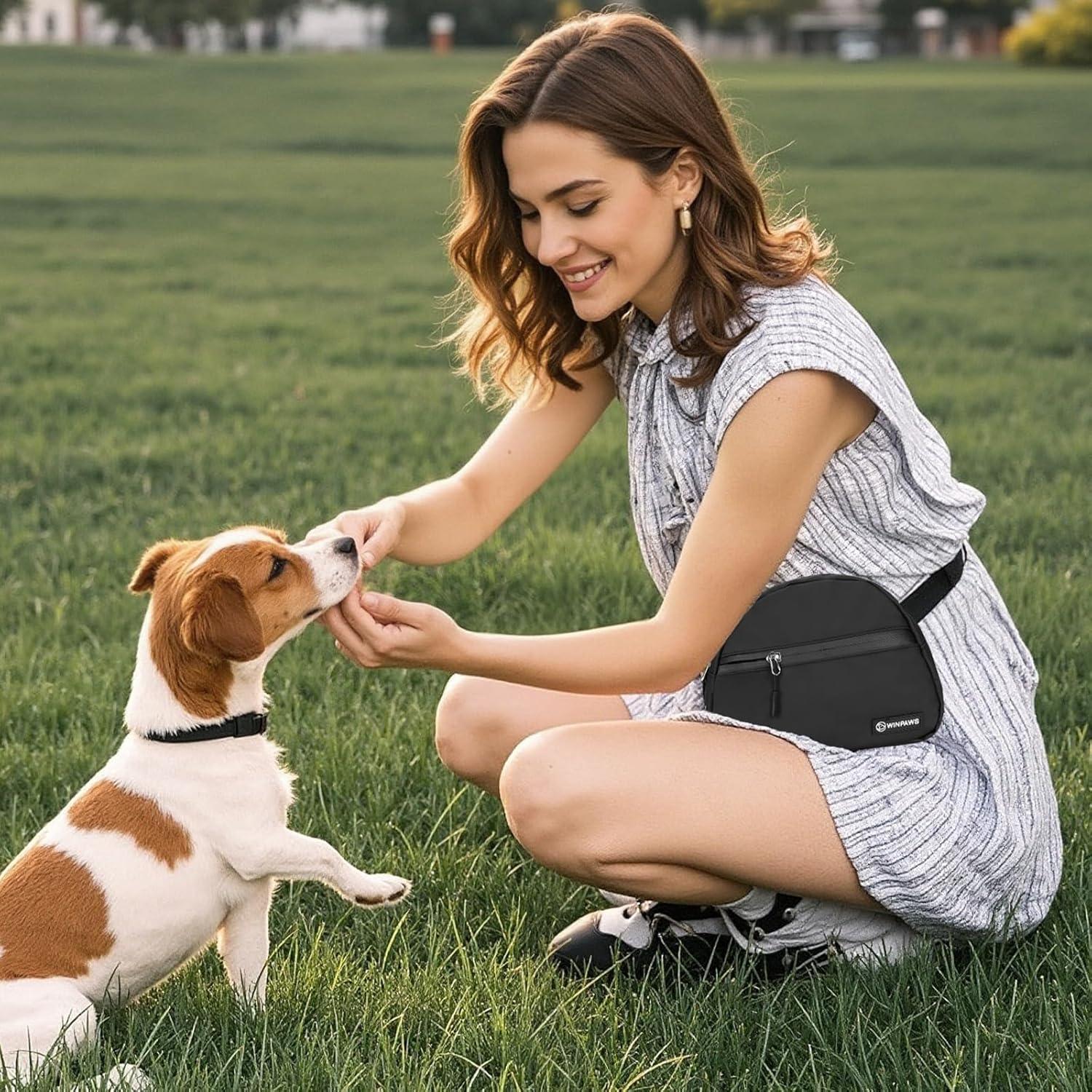 Bolsa de golosinas para perros Winpaws negra con clicker y soporte