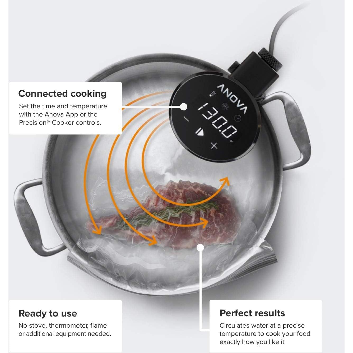 Cocinero de Precisión Anova Culinary 1000W Sous Vide WiFi
