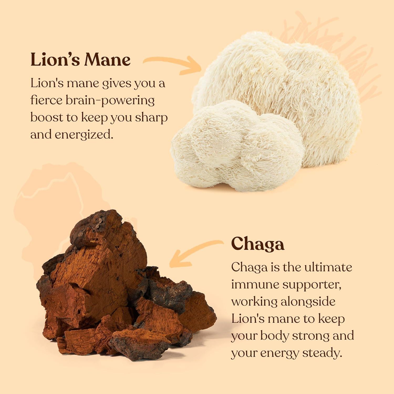 Café Molido Orgánico Four Sigmatic con Hongo Lion's Mane y Chaga 340g