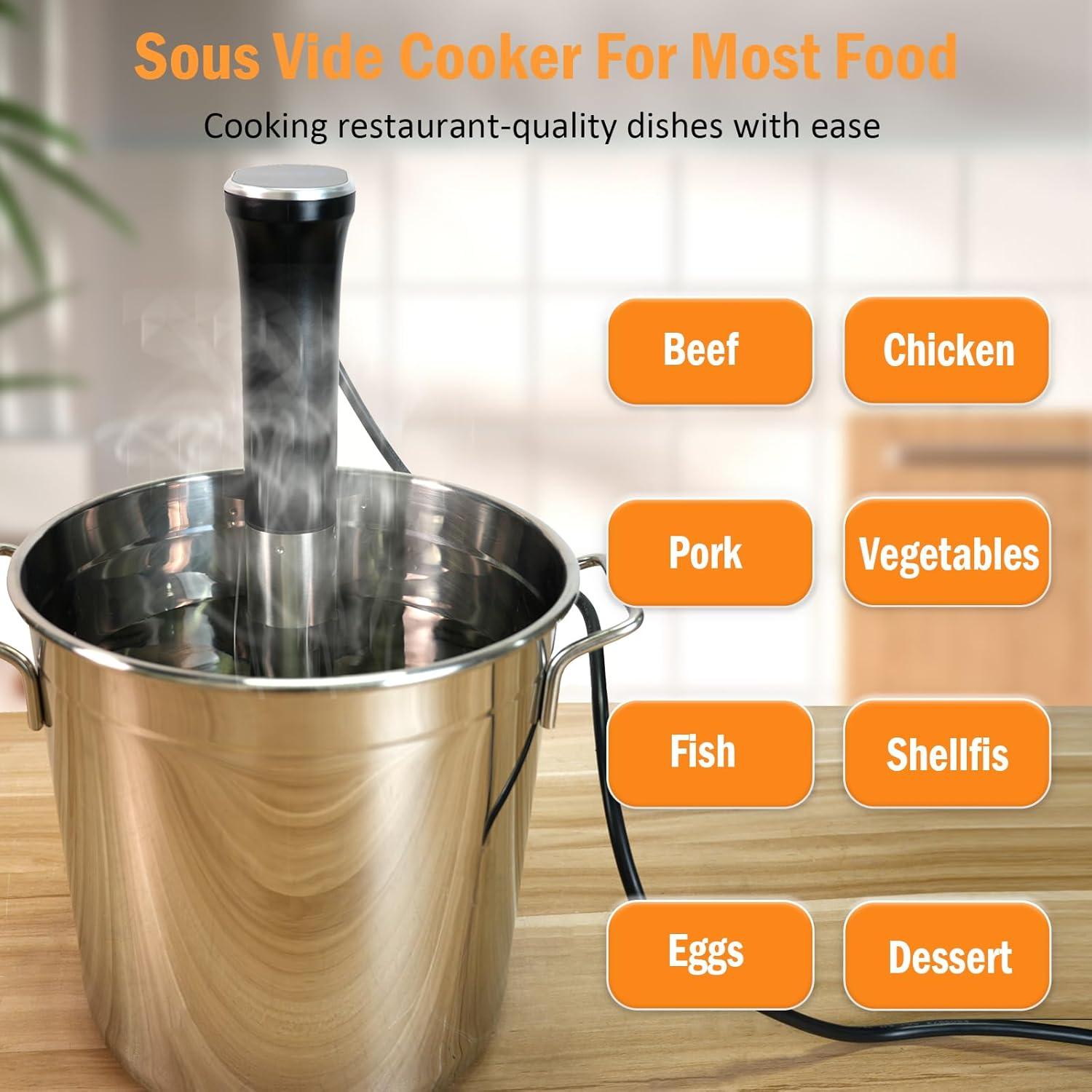 Cocinero Sous Vide auomii 1100W Acero Inoxidable Estándar