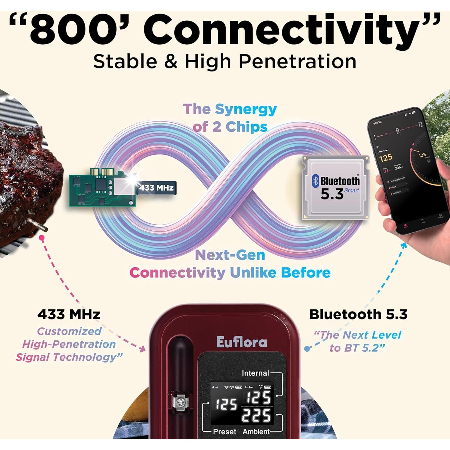Termómetro de Carne Inalámbrico Euflora Bluetooth 243m