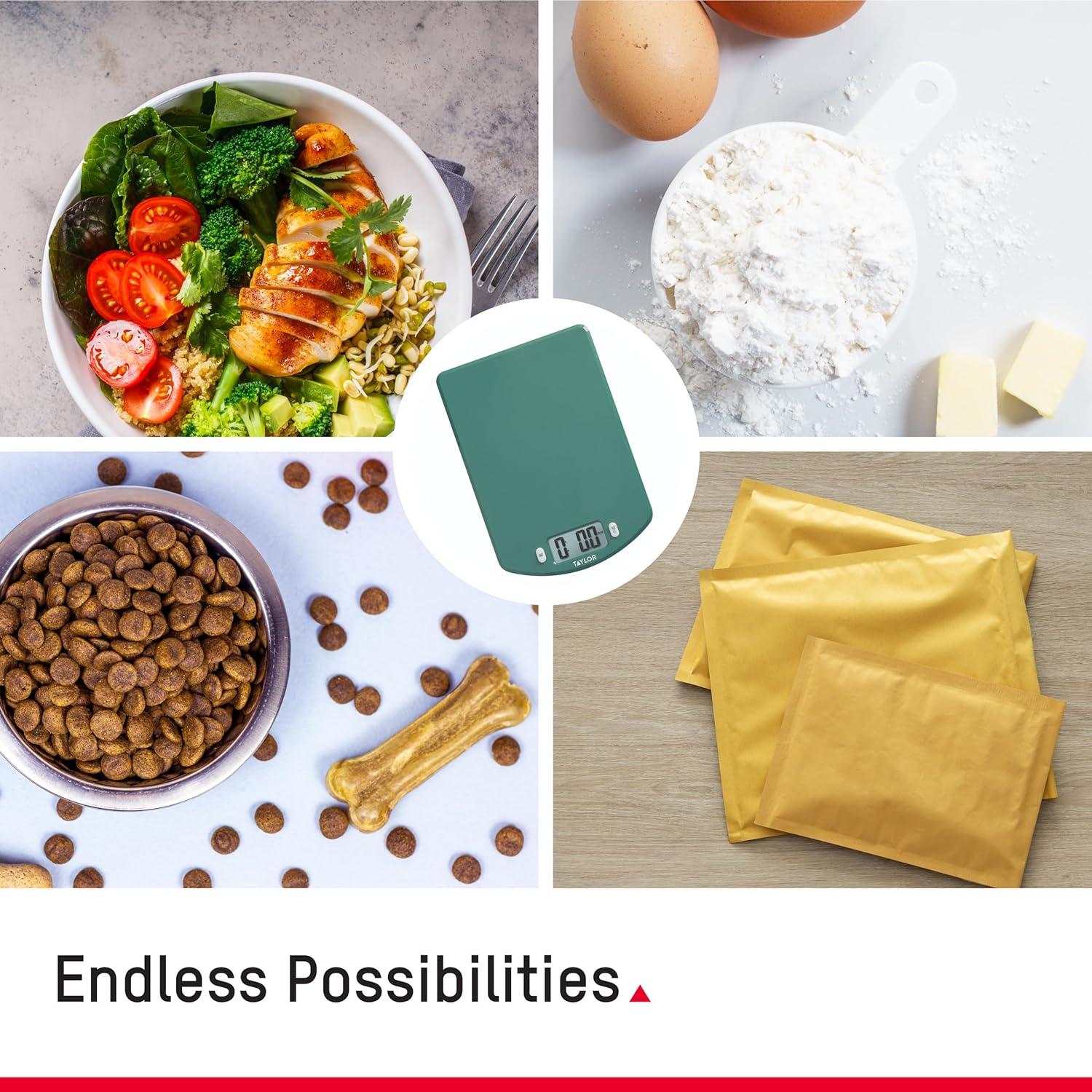 Báscula de Cocina Digital Taylor Ocean Bound 5 kg Verde