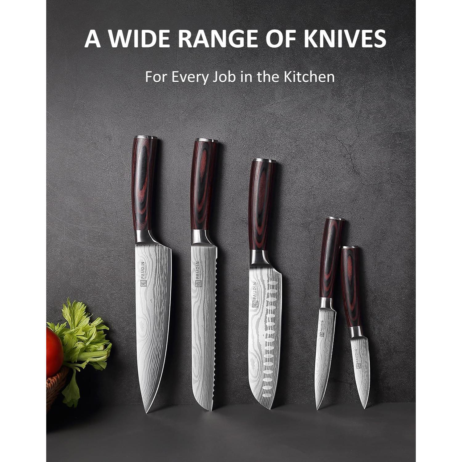 Juego de cuchillos de cocina PAUDIN 5 piezas acero inoxidable