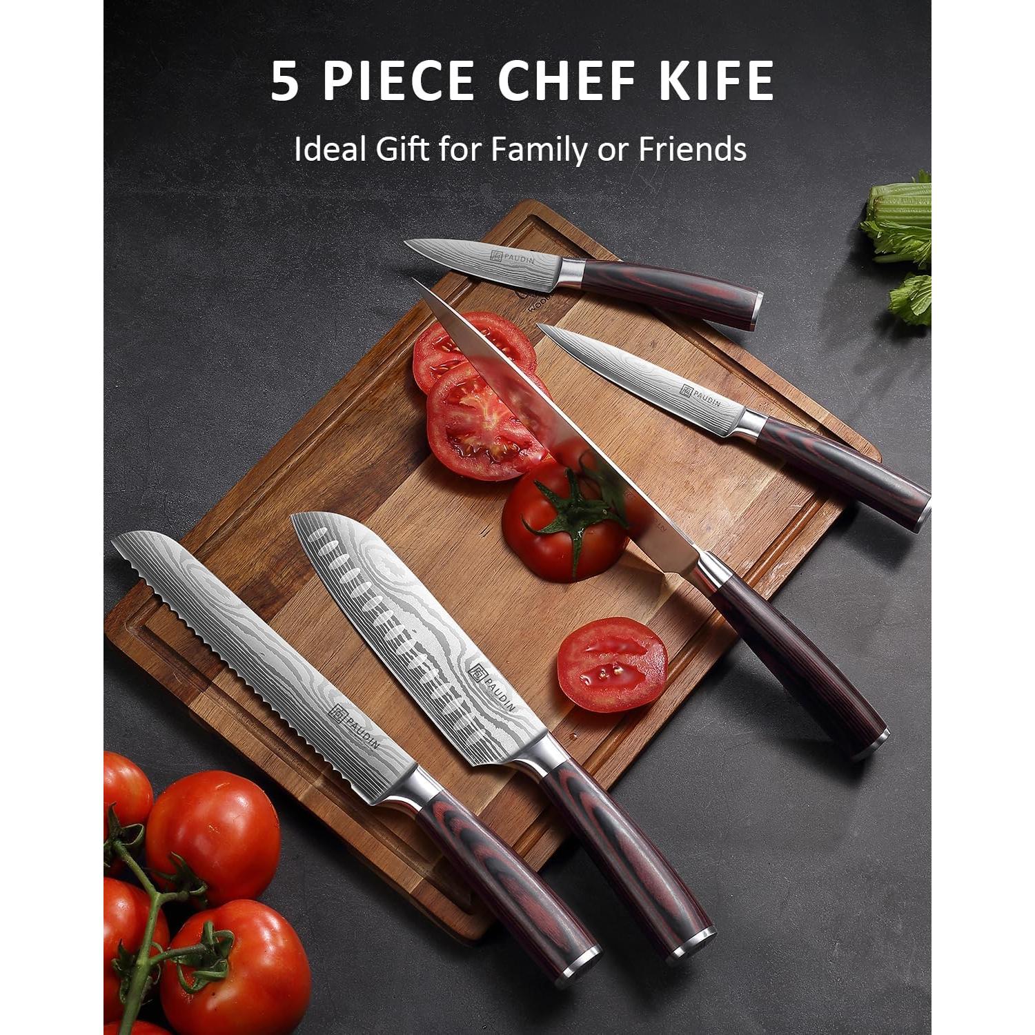 Juego de cuchillos de cocina PAUDIN 5 piezas acero inoxidable