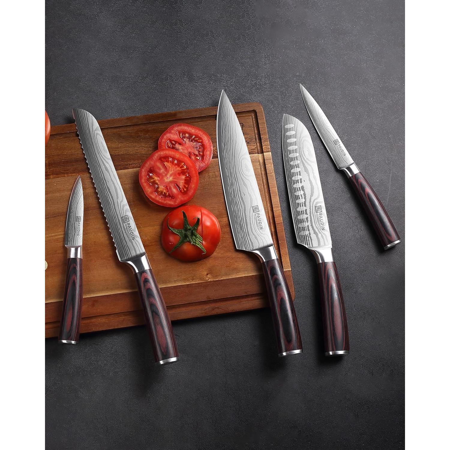 Juego de cuchillos de cocina PAUDIN 5 piezas acero inoxidable