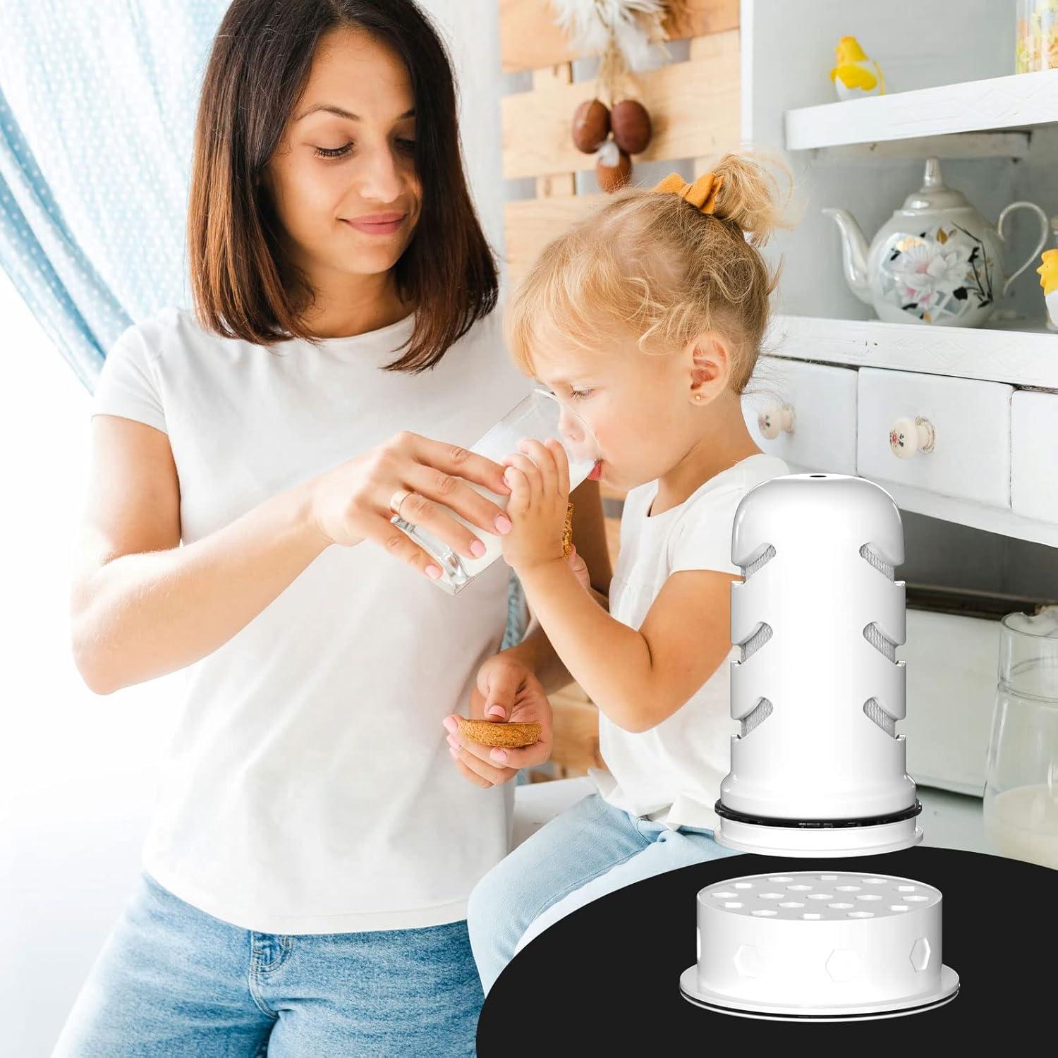 Filtros de Reemplazo para Jarra de Agua Mixzeny - 2 Unidades