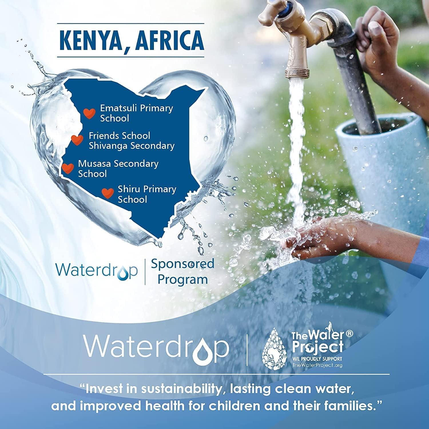 Filtro de Agua Waterdrop para Jarras Brita - Paquete de 6