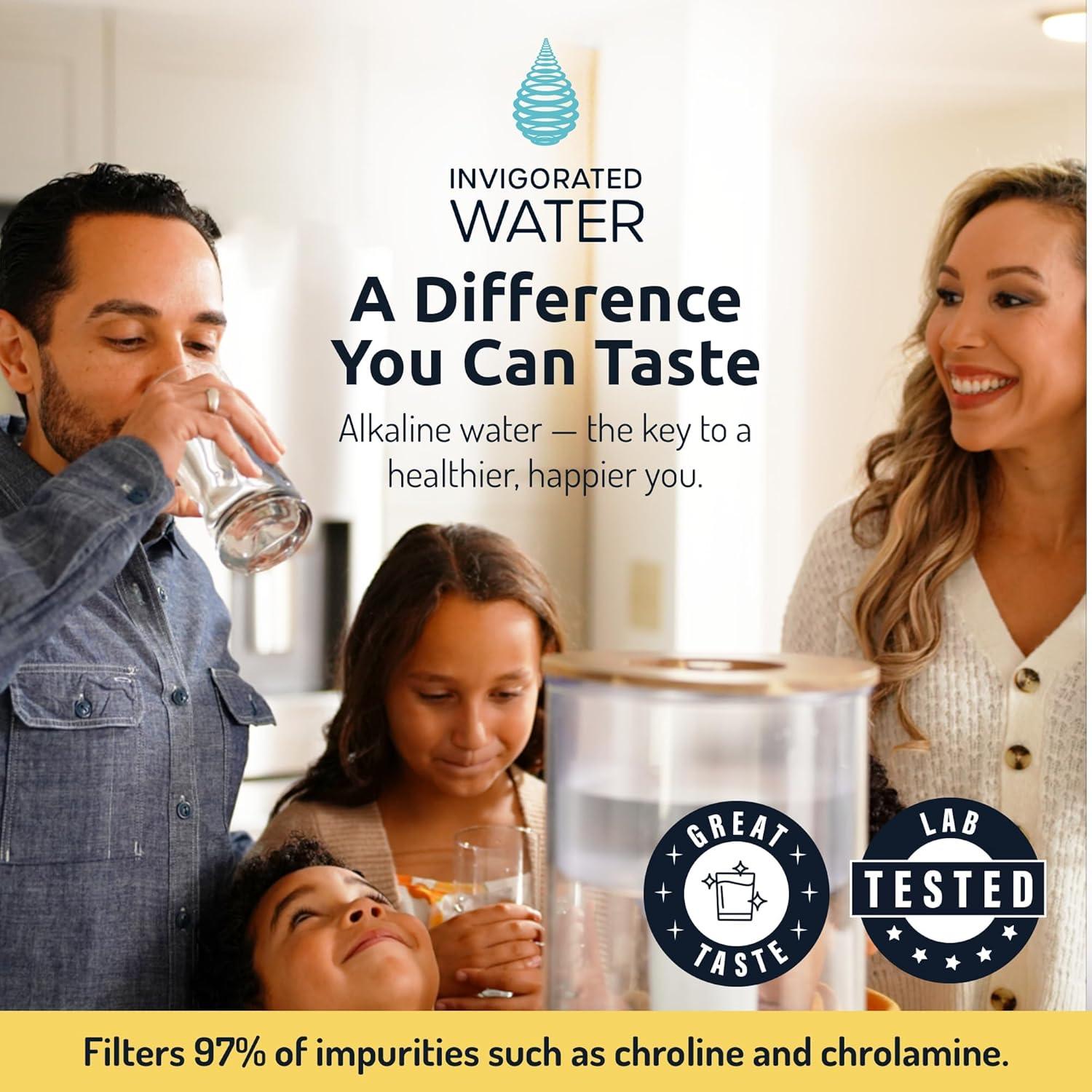 Filtro de Agua Alcalina Invigorated PH002 - Reemplazo 1000L