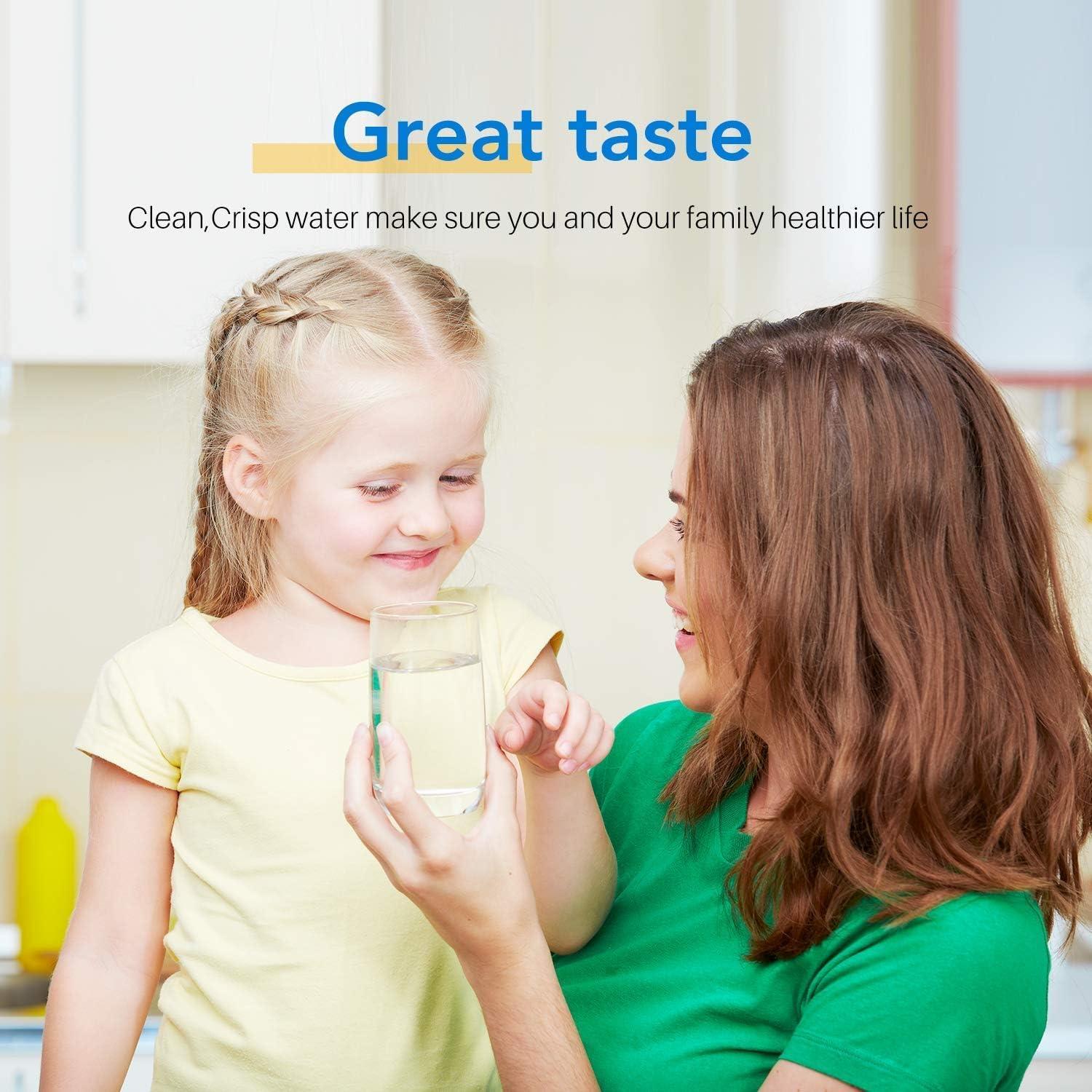 Filtro de Agua ICEPURE para Jarras Brita - 6 Unidades, NSF