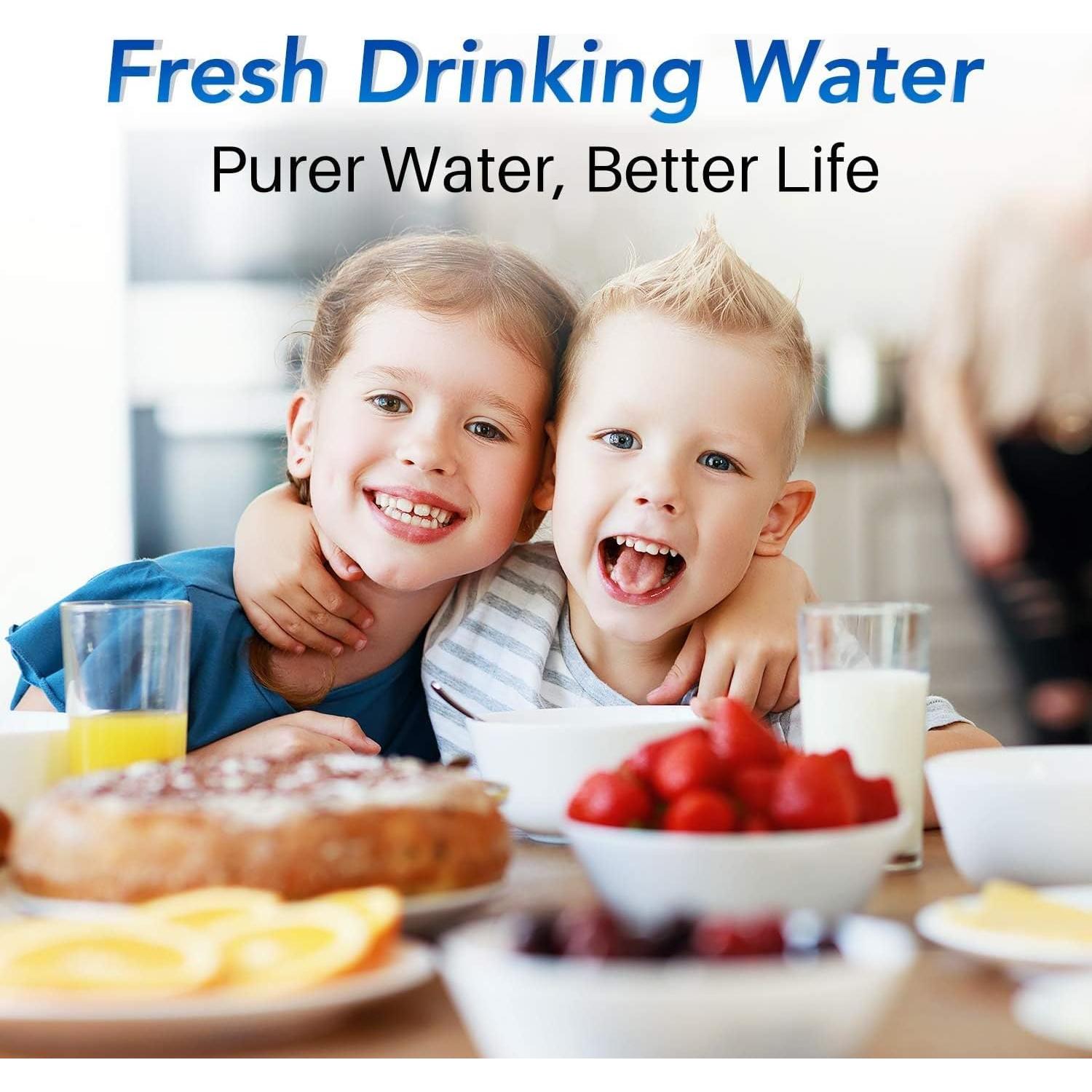 Filtro de Agua ICEPURE para Jarras Brita - 6 Unidades, NSF