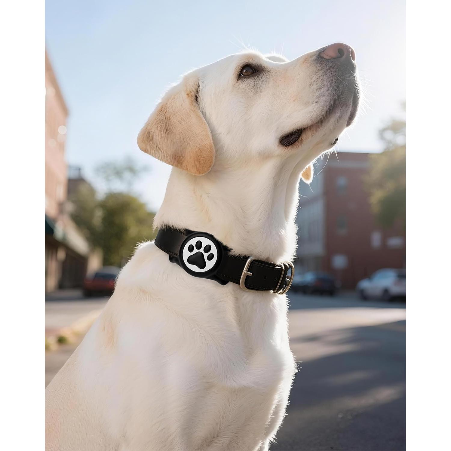 Soporte para AirTag de perro WhoseID, silicona impermeable IP68