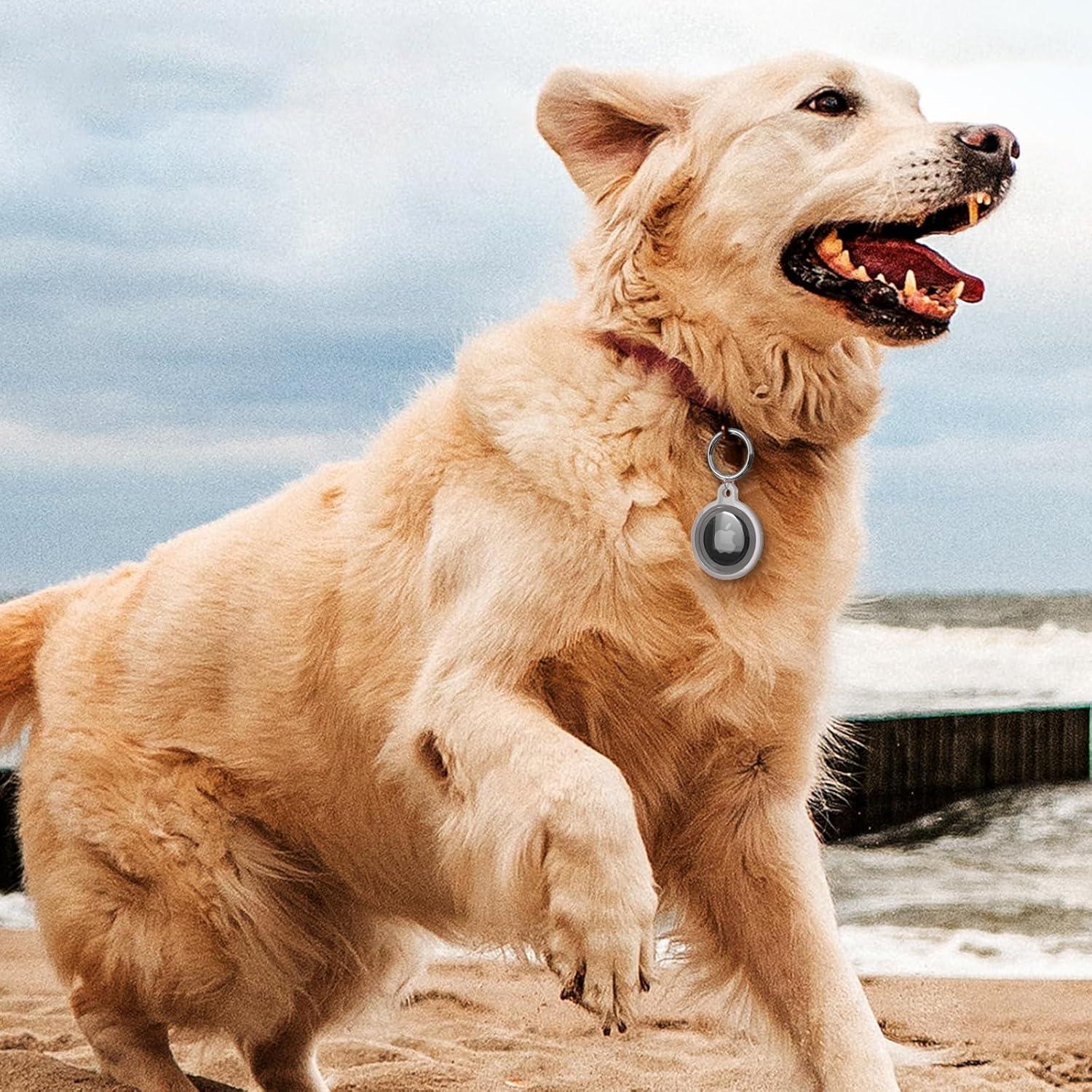 Soporte para AirTag Dinghe - 4 Paquetes a Prueba de Agua