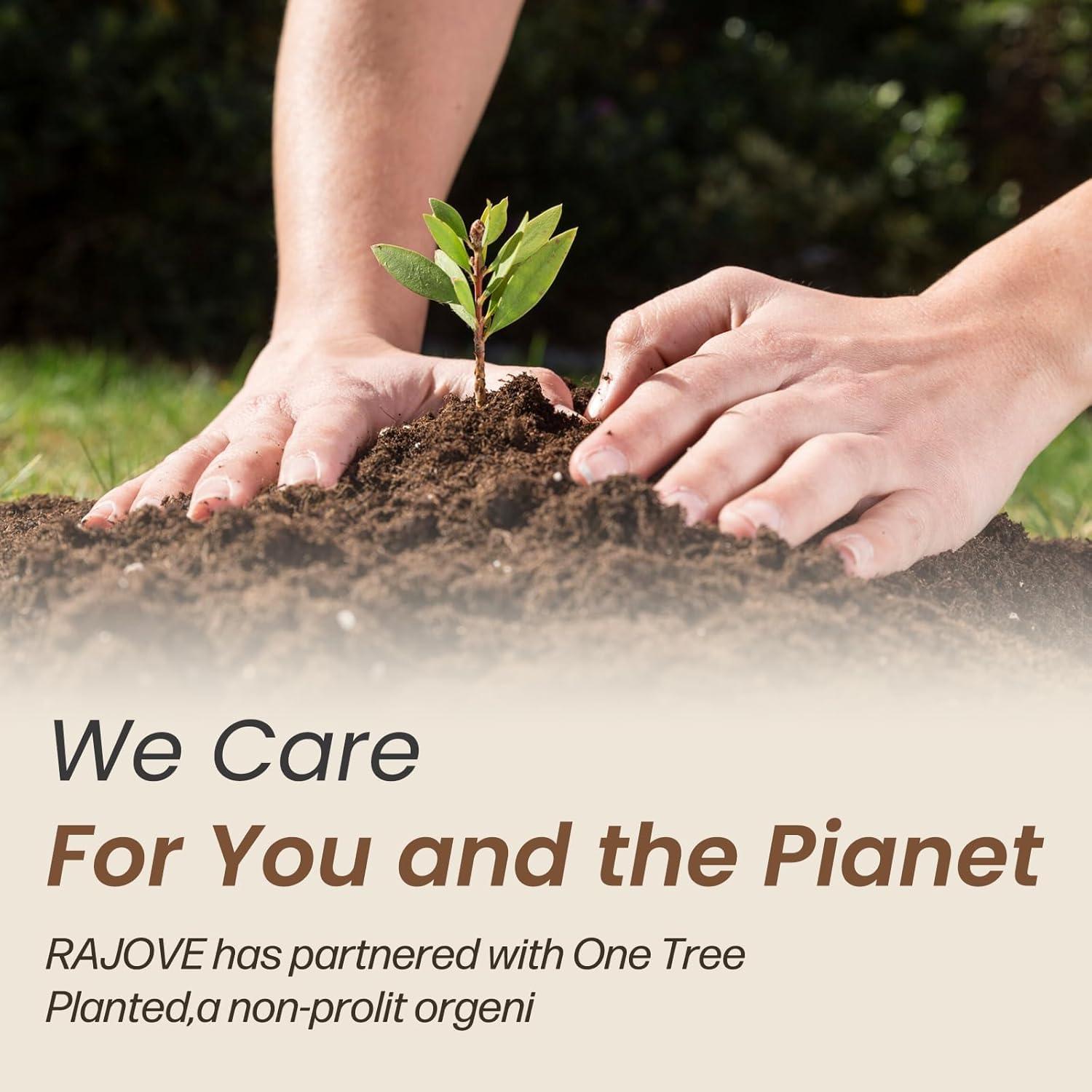 Juego de 3 Tablas de Cortar de Madera Acacia Oariips - Redonda, Rectangular y Paddle