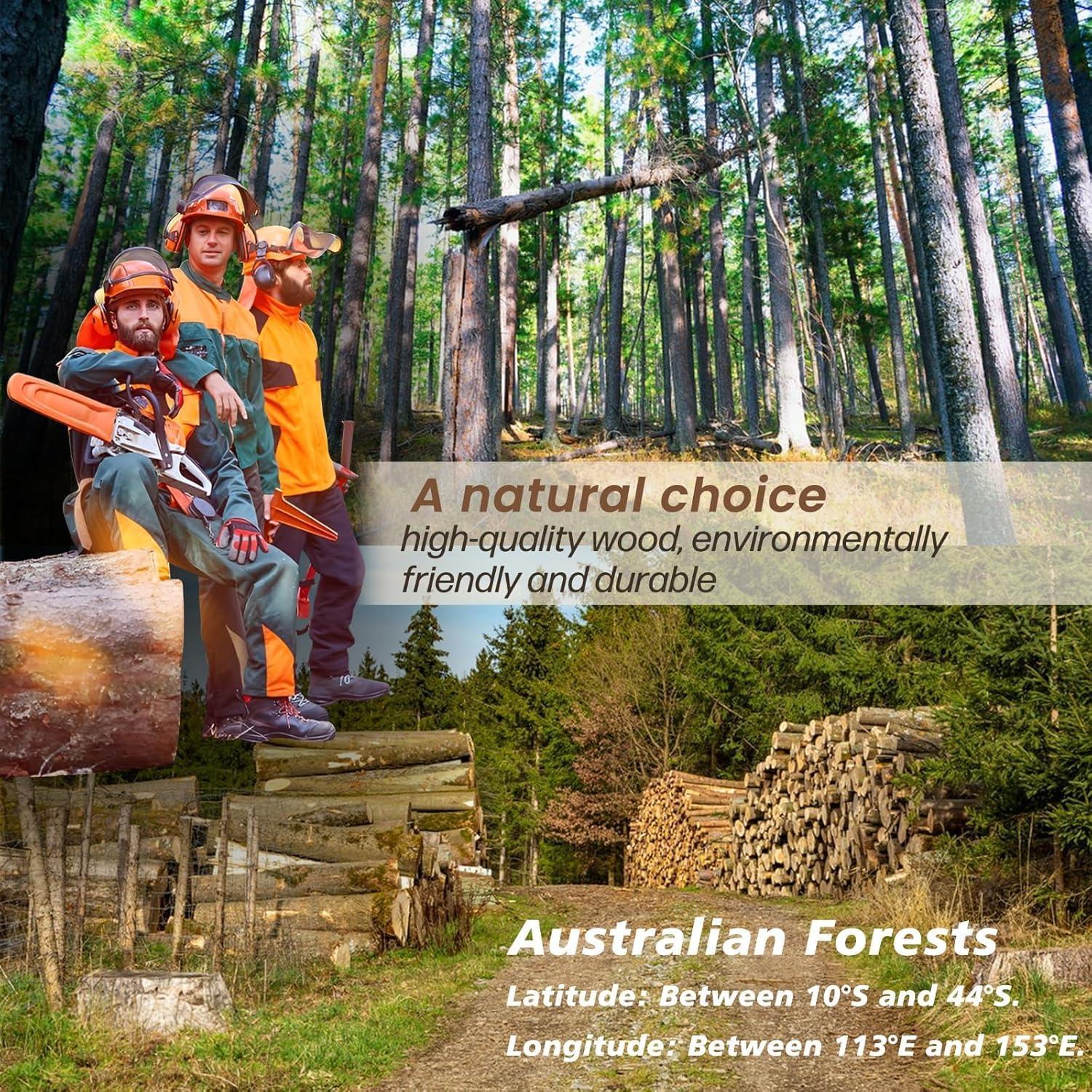 Juego de 3 Tablas de Cortar de Madera Acacia Oariips - Redonda, Rectangular y Paddle